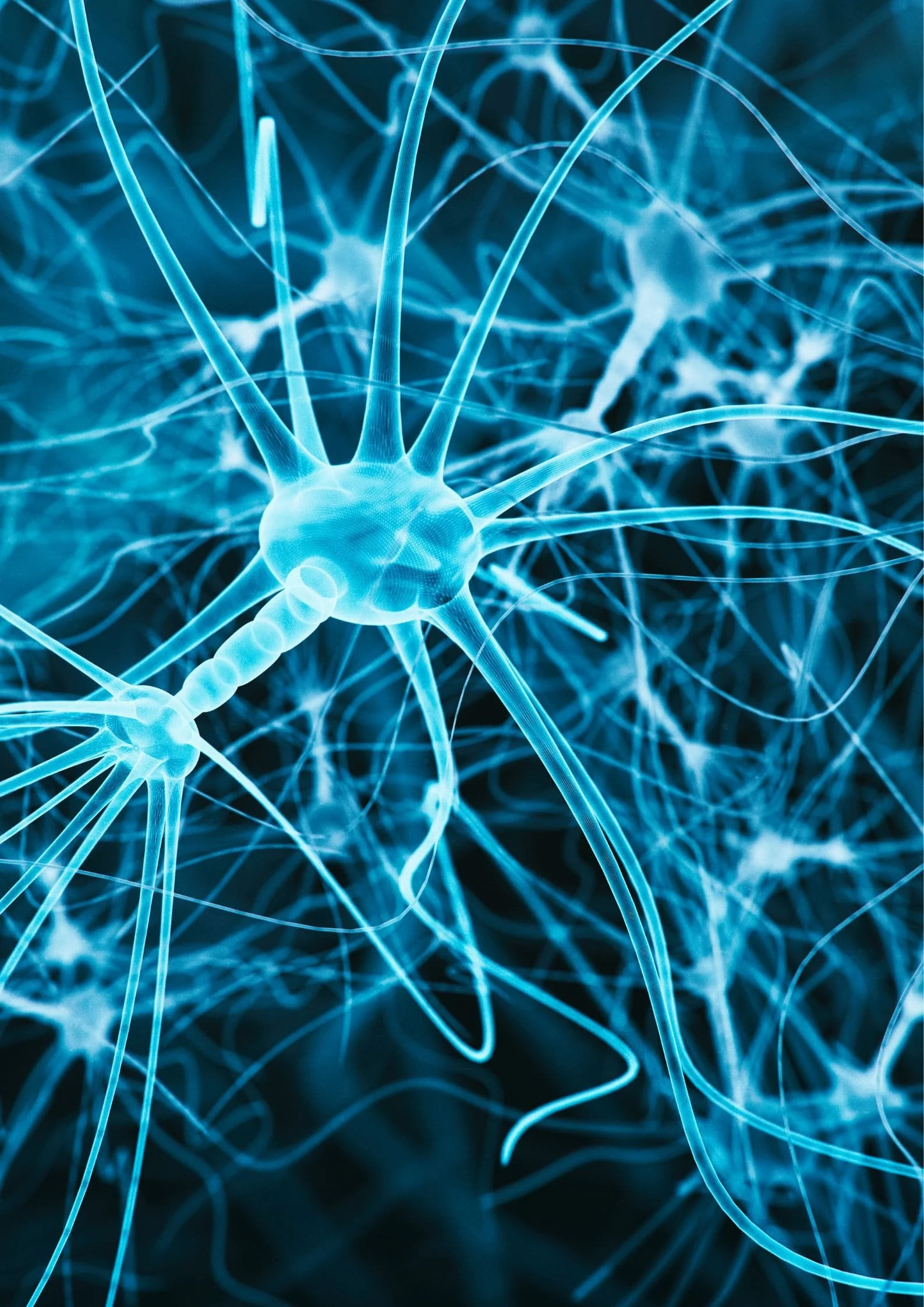 Huntington's Disease Project (Maria, Y12)