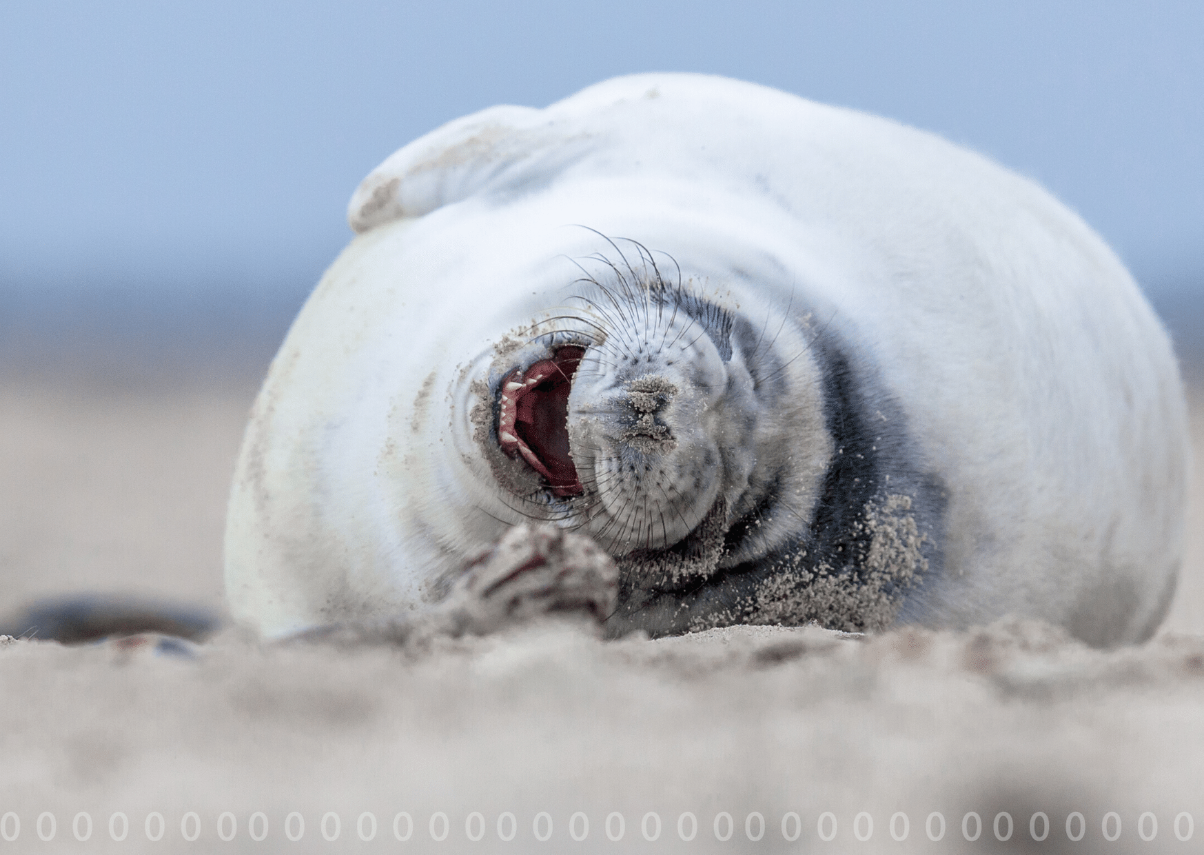 Laughing2.png