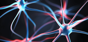 Global essay competition 2021 picture