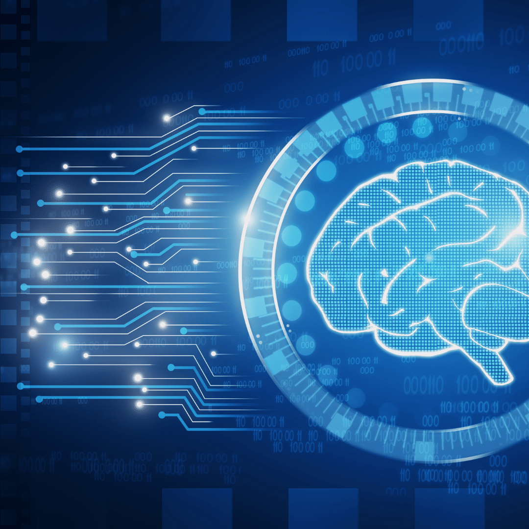 Computer Science Summer School 2024 — Minds Underground