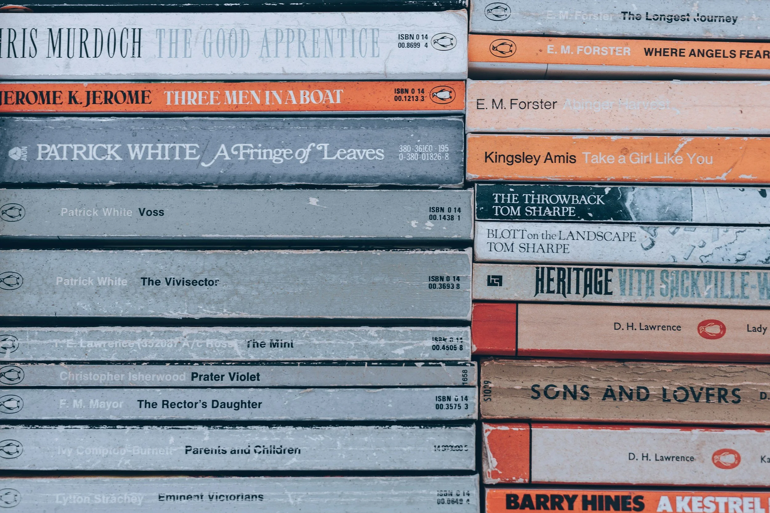 Stacked books with titles including "The Good Apprentice" by Chris Murdoch, "Three Men in a Boat" by Jerome K. Jerome, "A Fringe of Leaves" by Patrick White, "Voss" by Patrick White, "The Viisector" by Christopher Isherwood, "The Rector's Daughter" by F. M. Mayor, "The Longest Journey" by E. M. Forster, "Where Angels Fear to Tread" by E. M. Forster, "Take a Girl Like You" by Kingsley Amis, "The Throwback" by Tom Sharpe, "On the Landscape" by BLOT, "Sons and Lovers" by D. H. Lawrence, and some partially visible books.