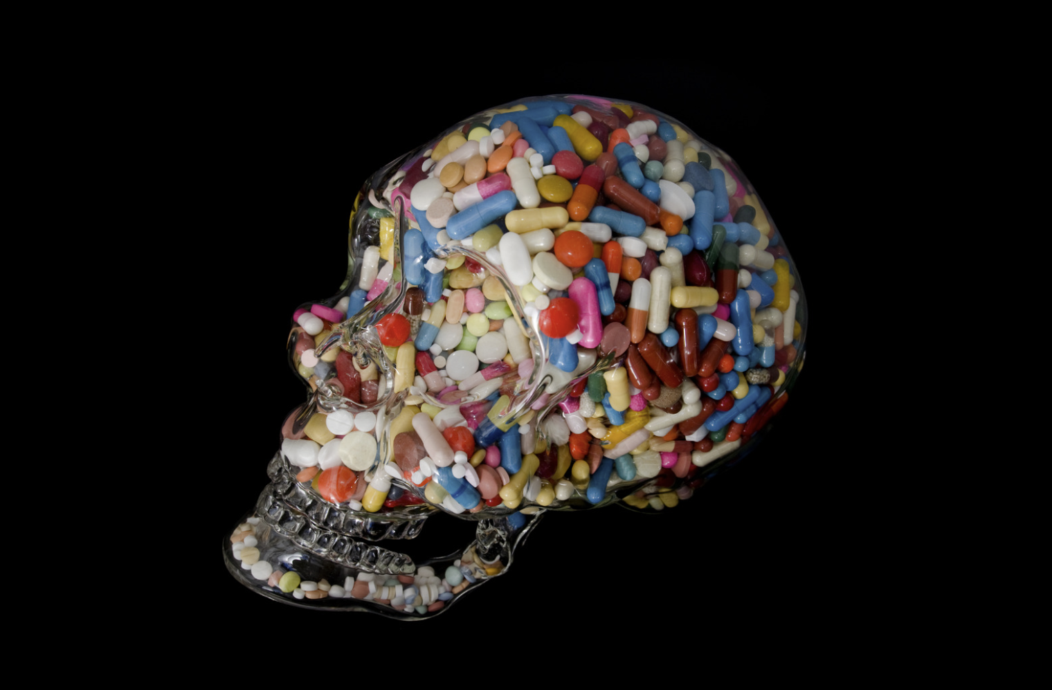  2024 Psychology Summer School for Year 12 — Minds Underground Bildidee 