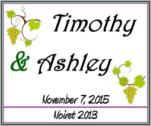 Timothy-Ashley-NOIR-300x250.jpg