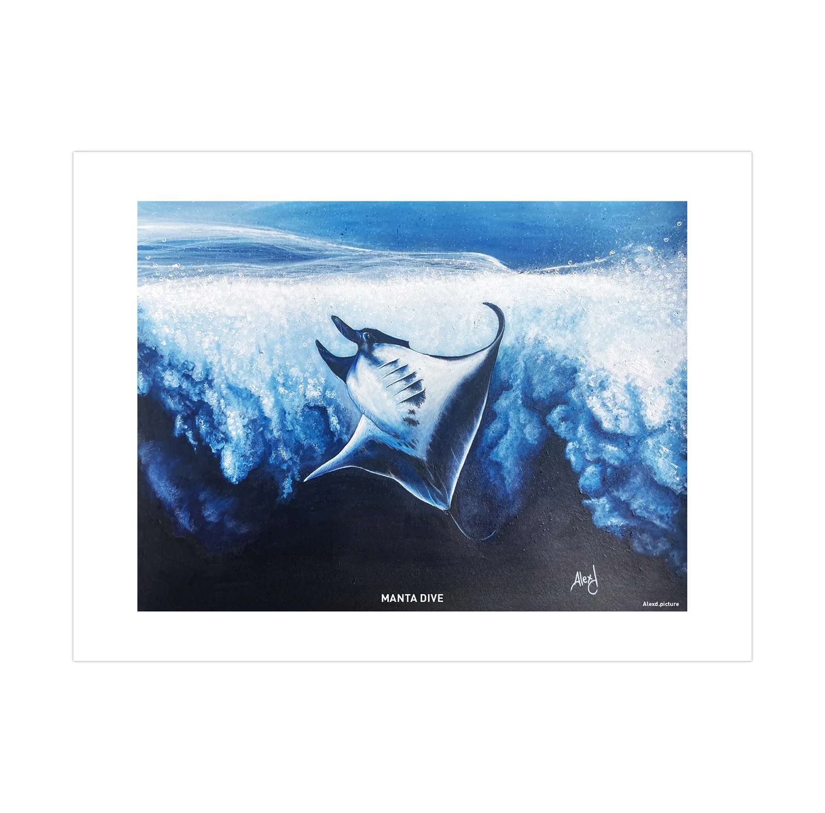Print "MANTA DIVE" 40 x 30 cm