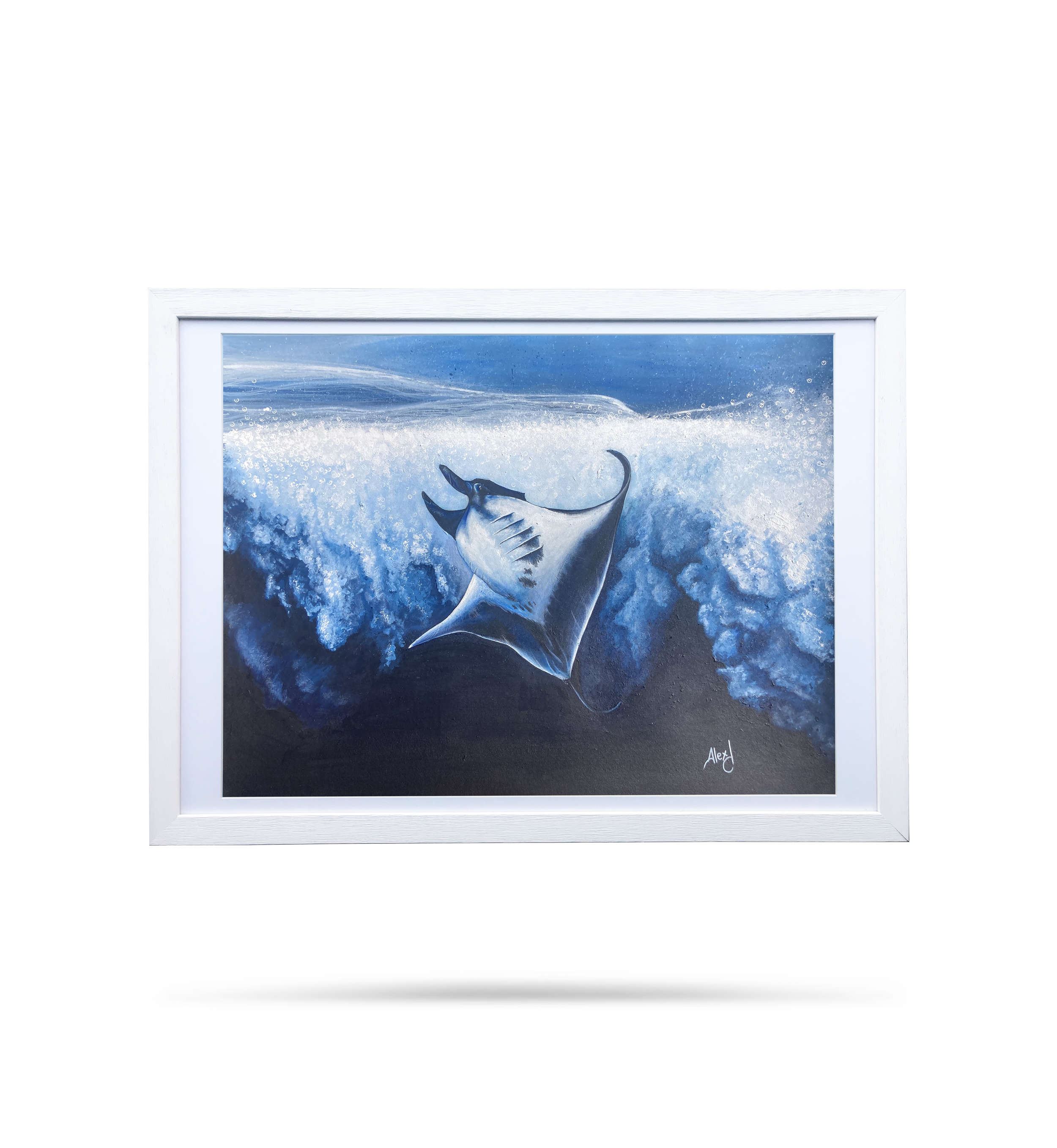 PNG_Manta dive_Alexdpicture.png