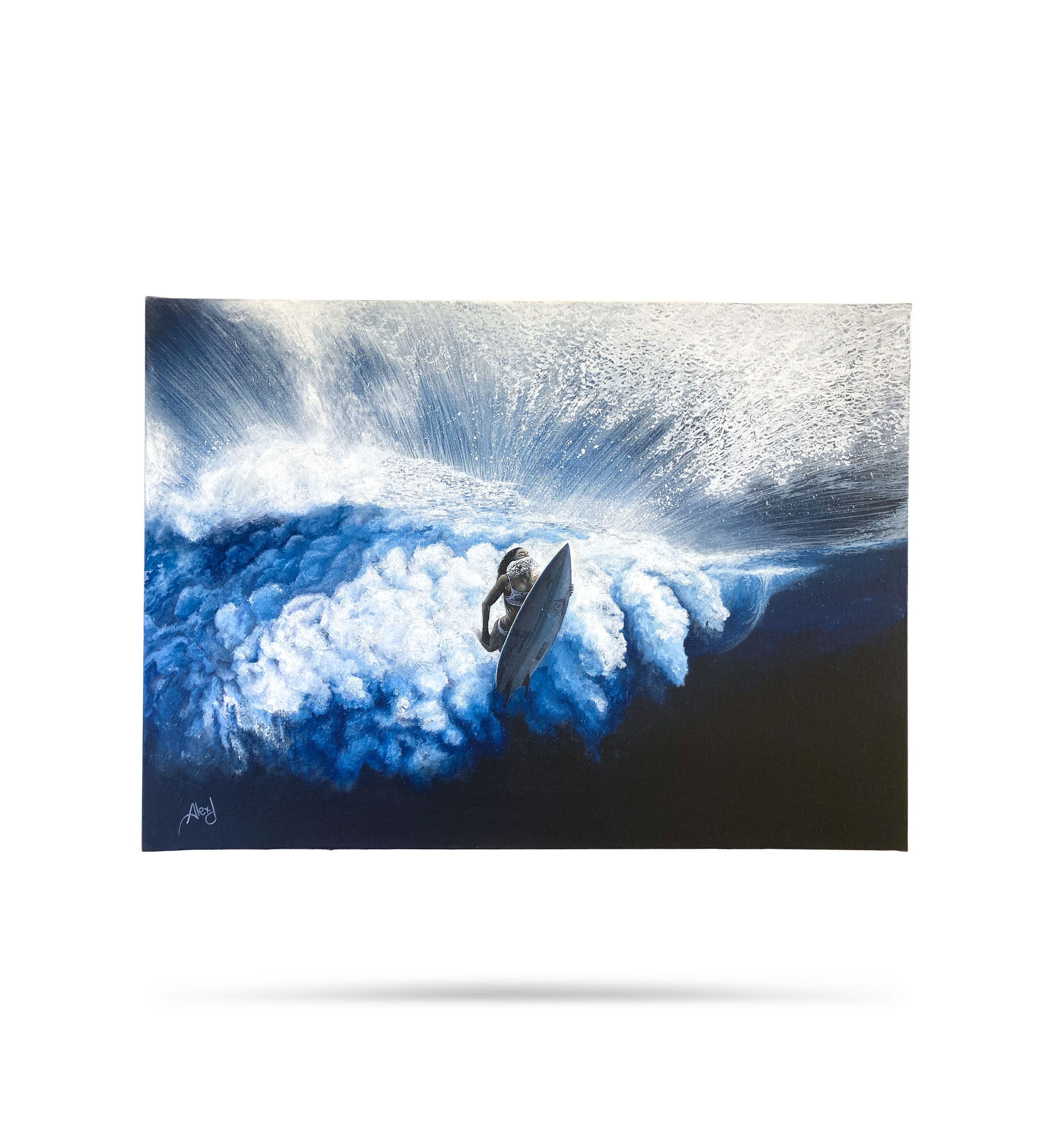 PNG_The duck and the blast_Alexdpicture.png