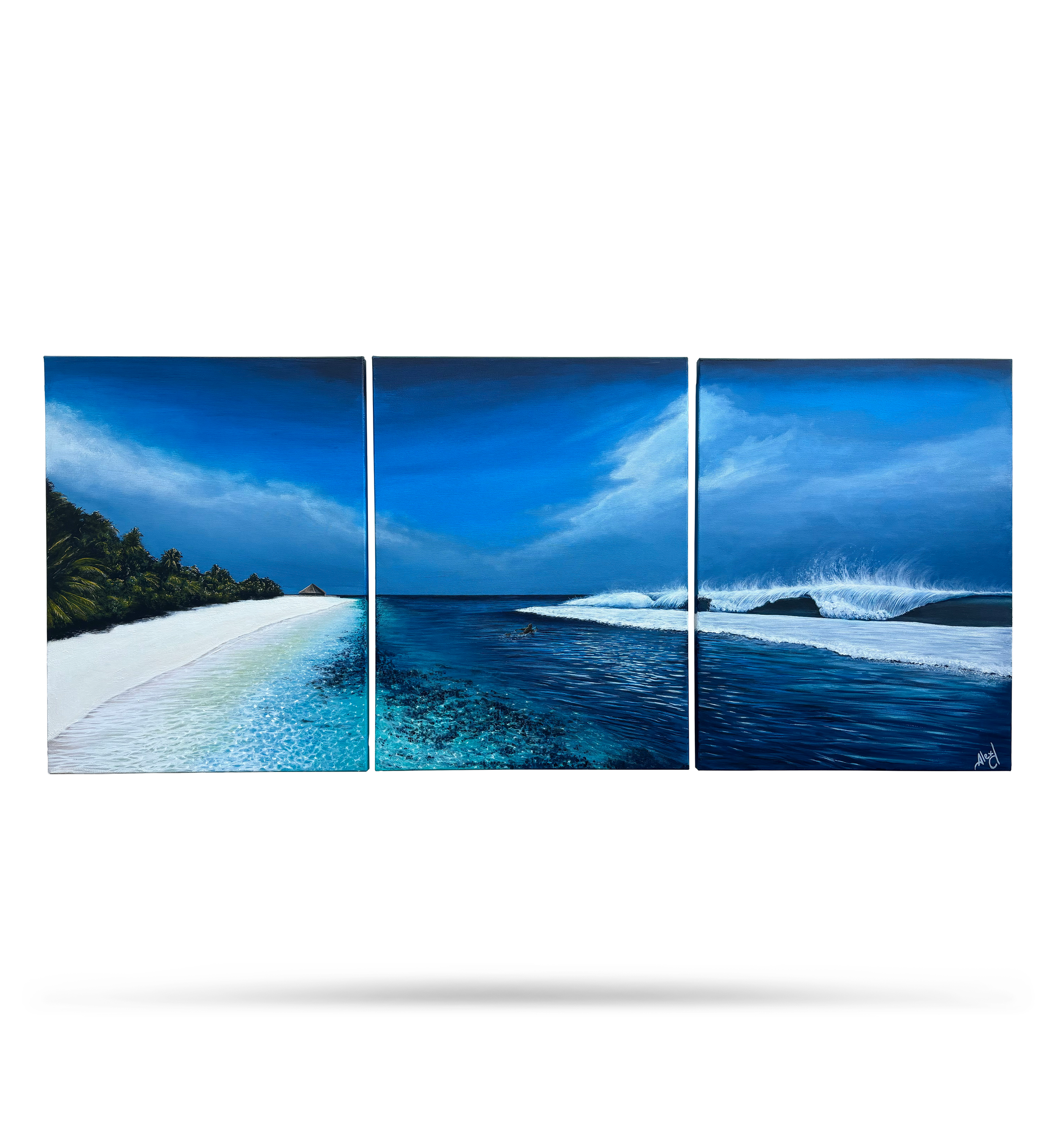 PNG_Salted palms_Alexdpicture.png