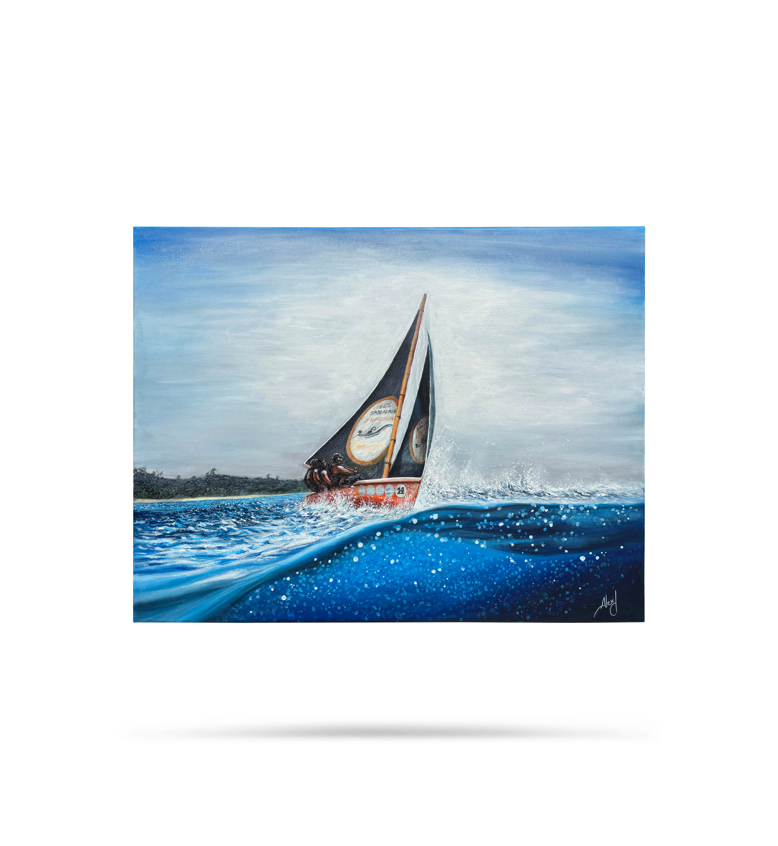 PNG_Rooted in the wind_Alexdpicture.png