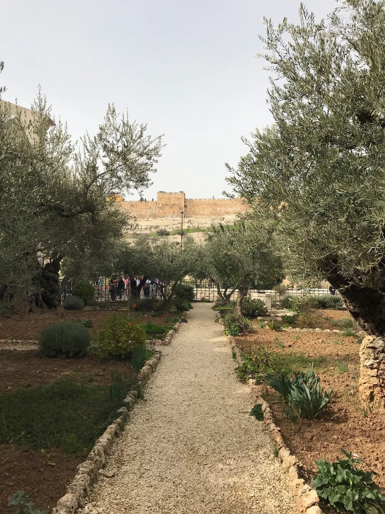 Leaving the Holy Land