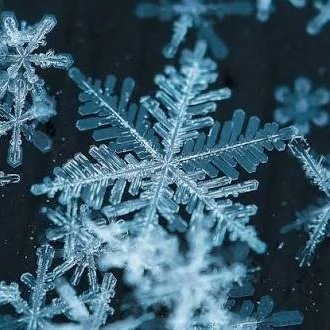 White Male Snowflakes: Trump, My Father, and the Men Who Called Their Feelings Facts
