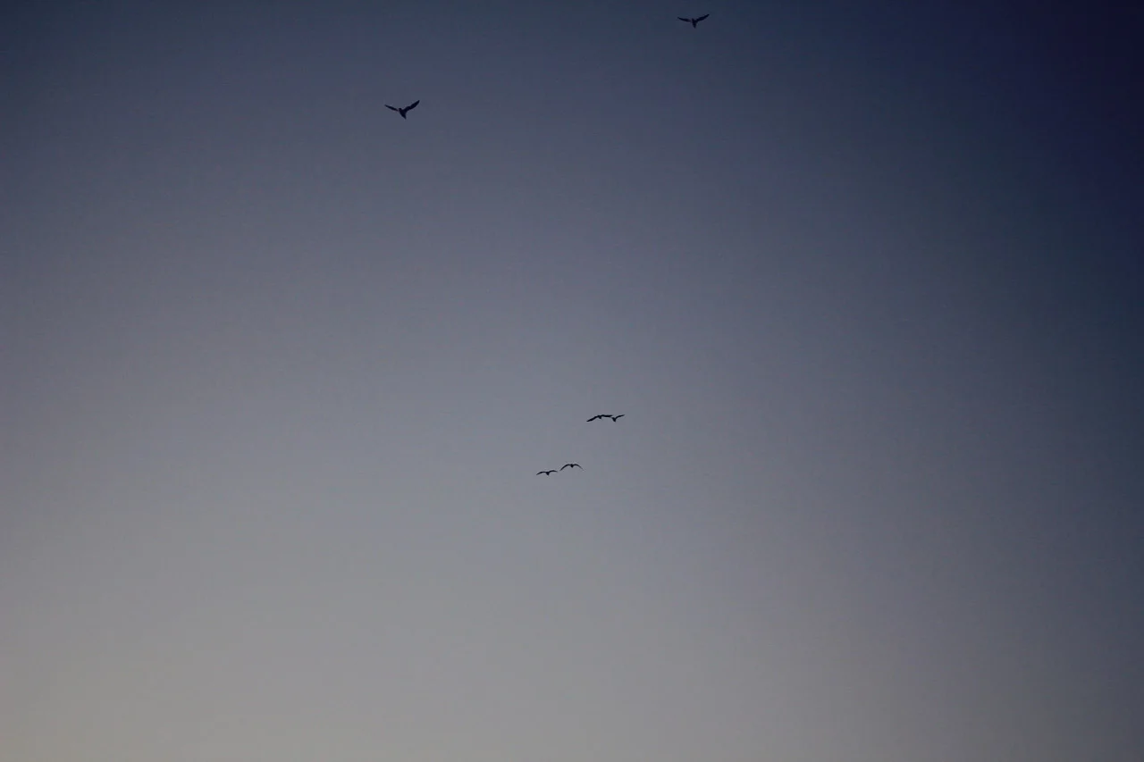 Since September // Maddie's Cancer Story : Chapter 2