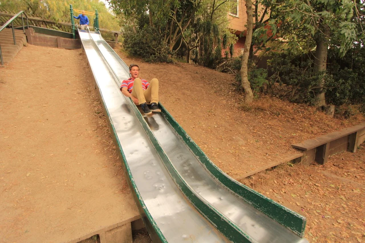 The City Before the Forest