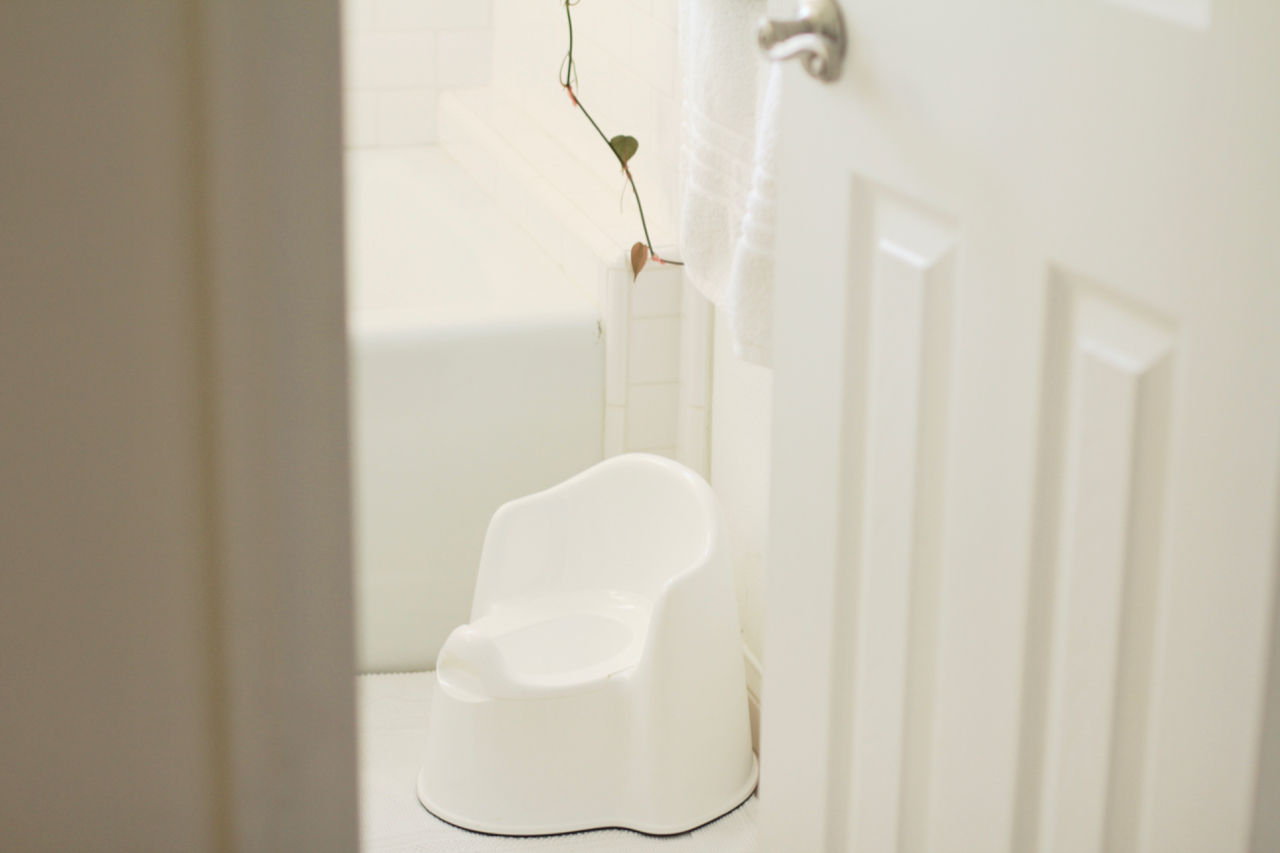 Potty Talk: Potty Training Before Two