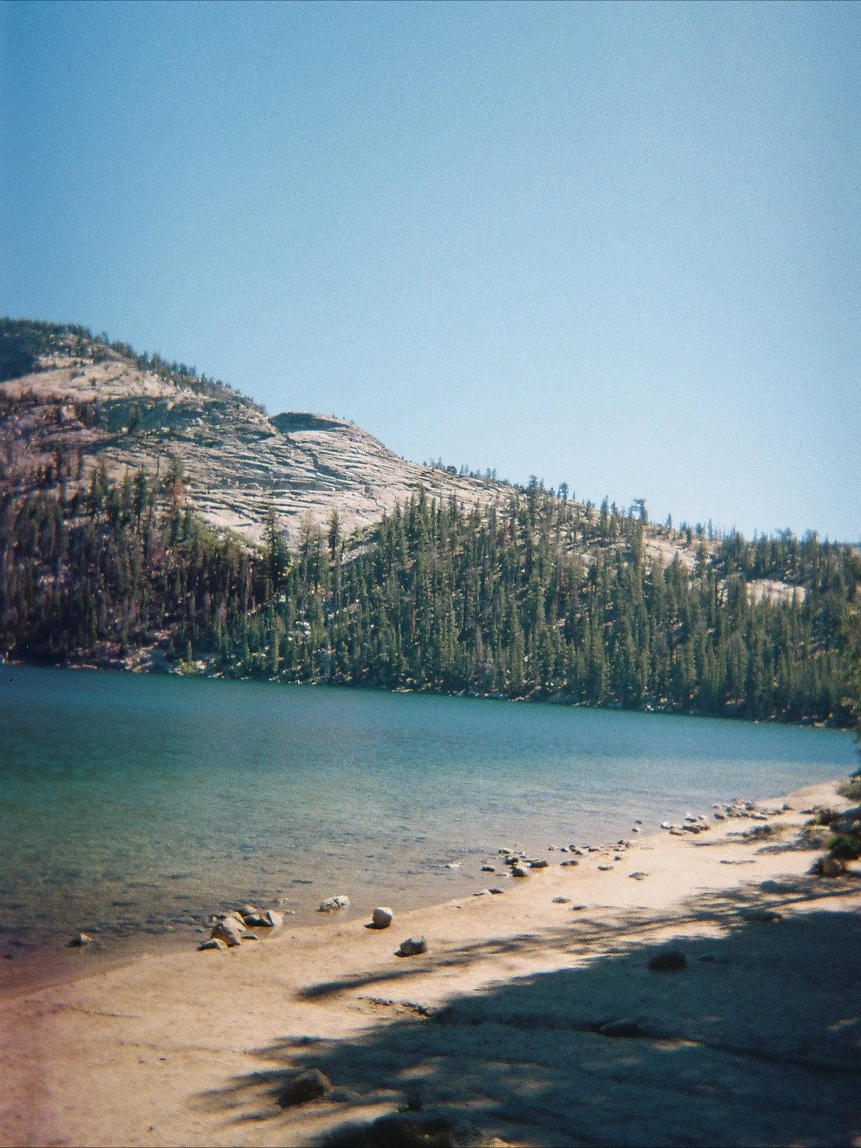 Yosemite from the disposable camera (that fell in the Merced river) 🙂☀️🌲