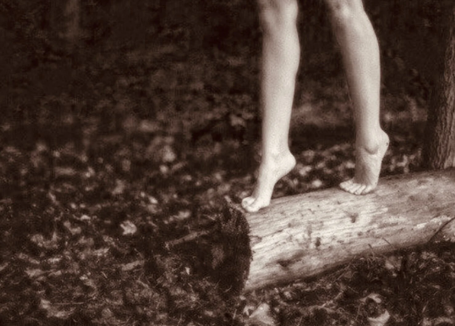 Retraite «&nbsp;Féminin Sauvage&nbsp;»