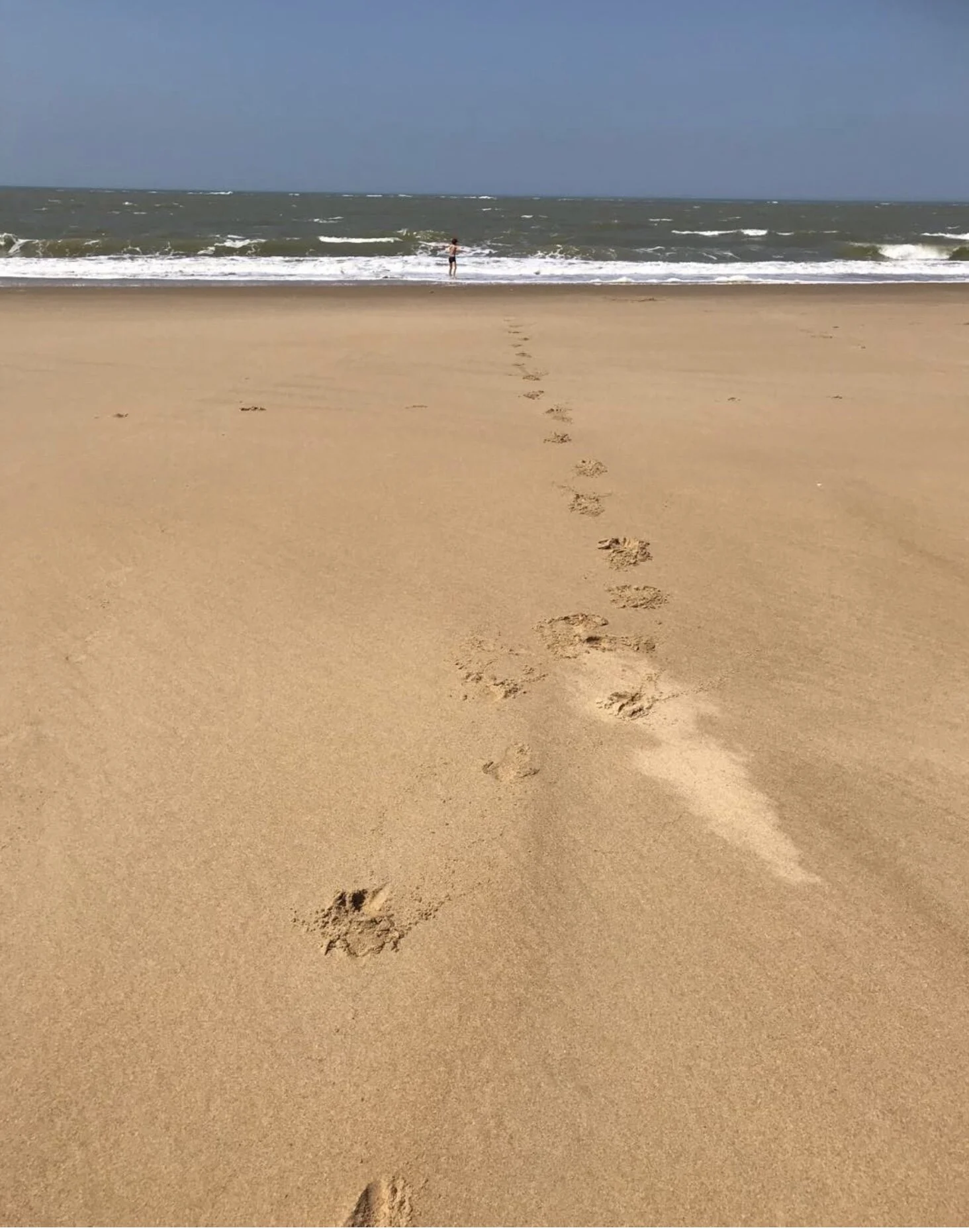 Weekend d’été «&nbsp;Féminin Sauvage et Chemin de vie&nbsp;»