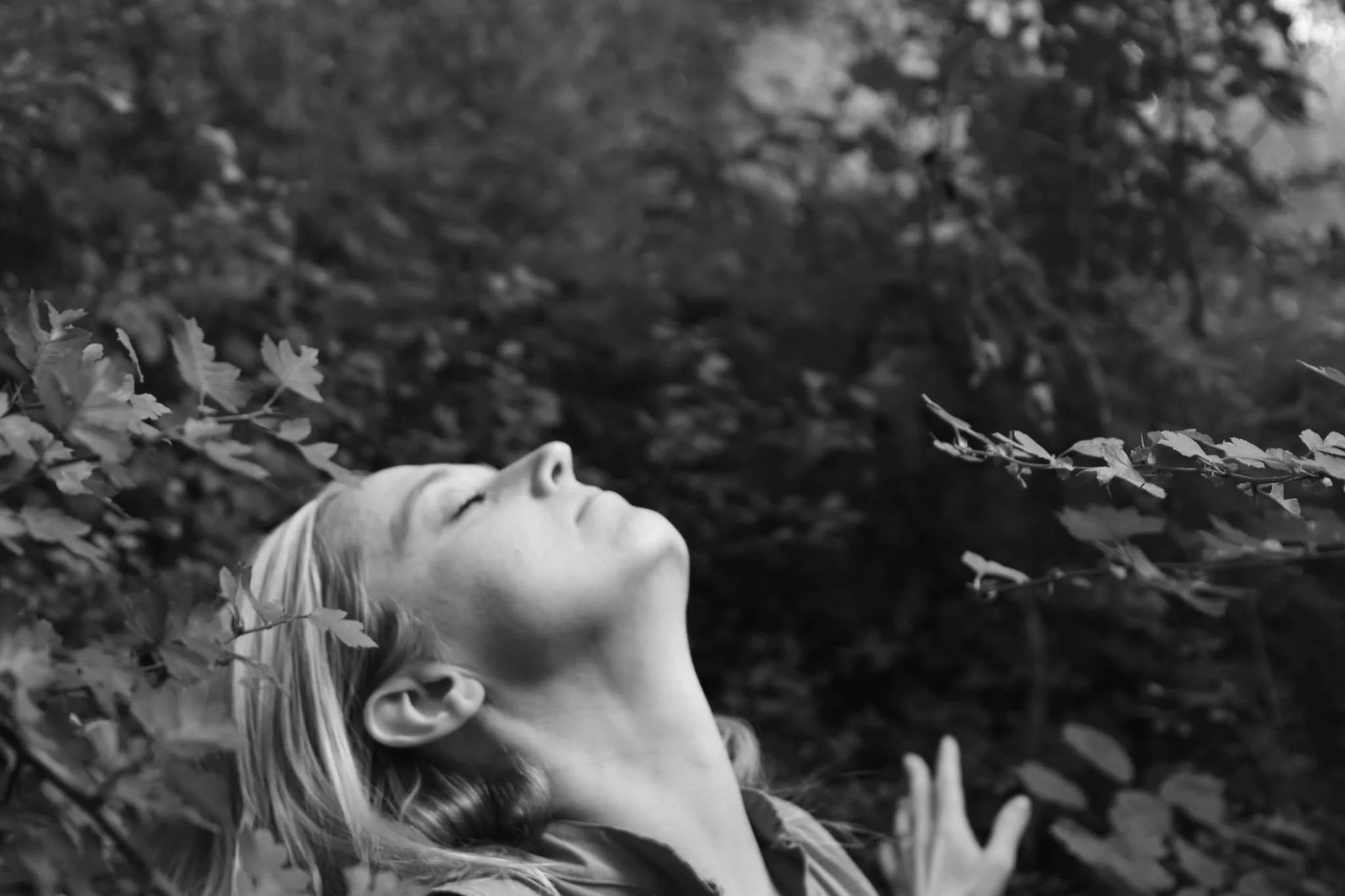 Escapade Enchantée "SENSUALITE SAUVAGE"