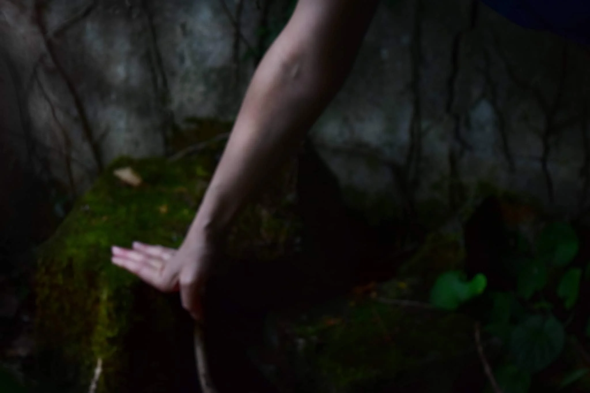 Escapade Enchantée "Féminin Sauvage"