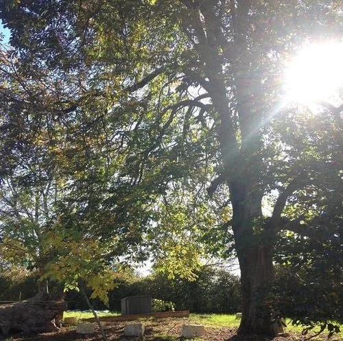 Weekend Pro Le mieux dans l'Être