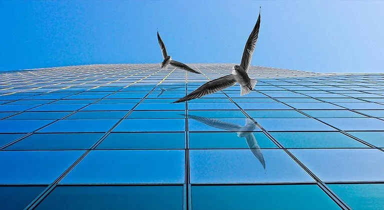 blogfeatured-birdglass.jpg