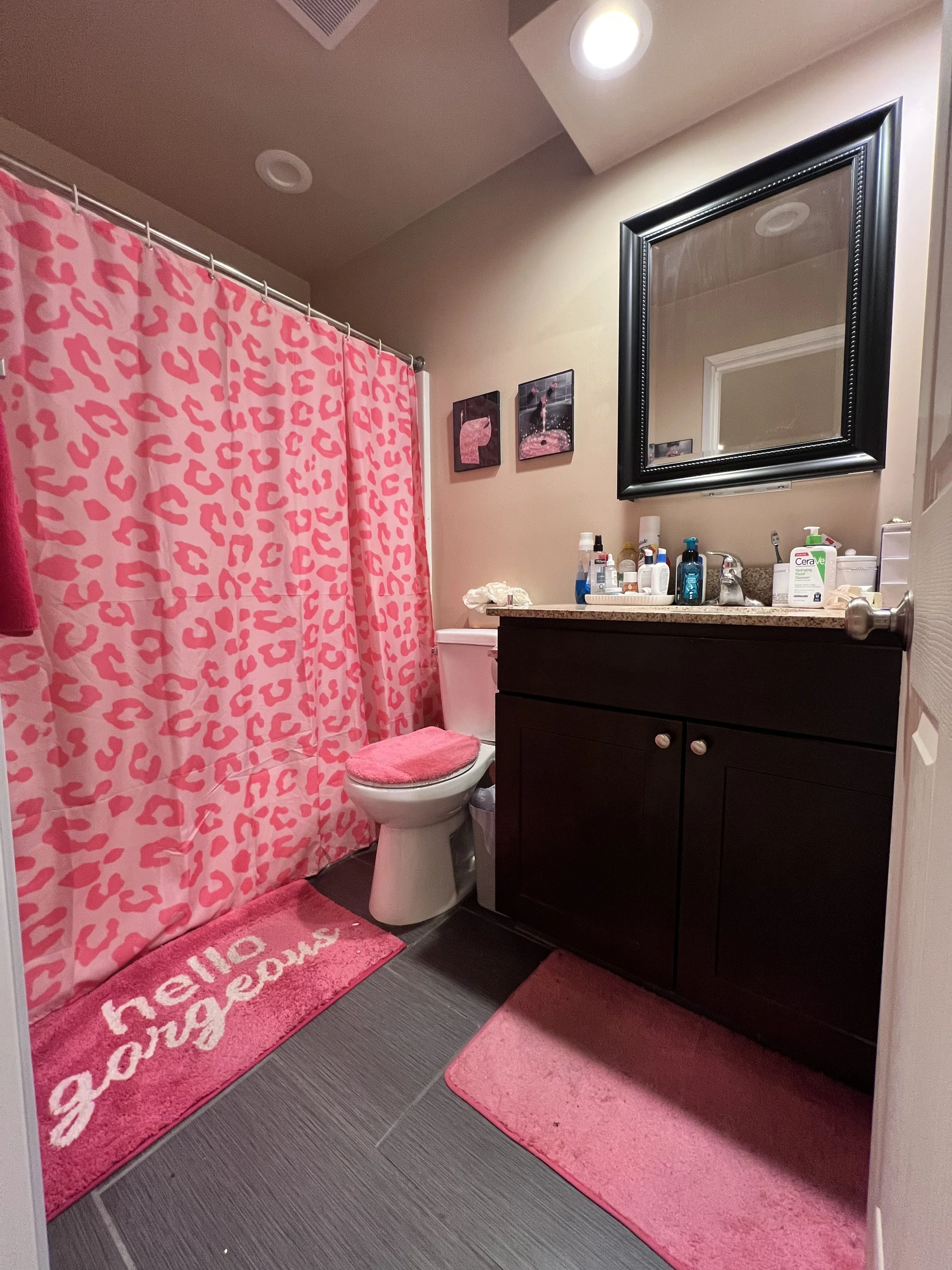 Apt 9- 2 bedroom 2 bathroom