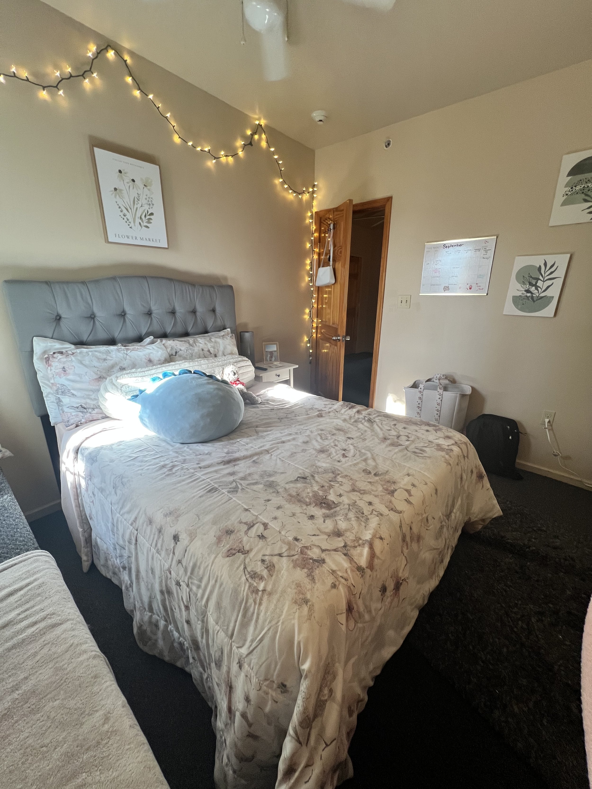 Apartment B - 7 bedroom 2.5 bathroom