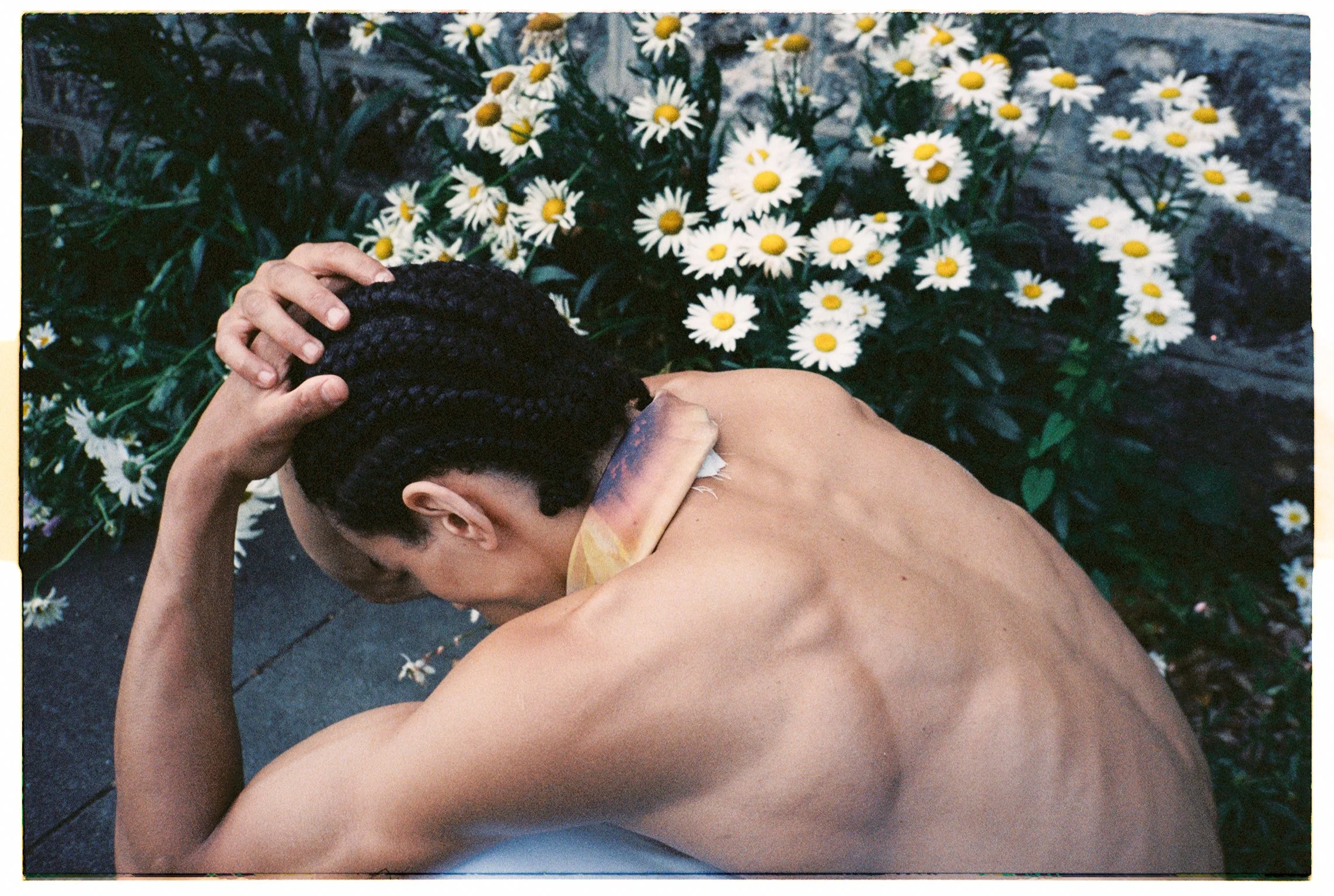 Copy of wass319-344.jpg