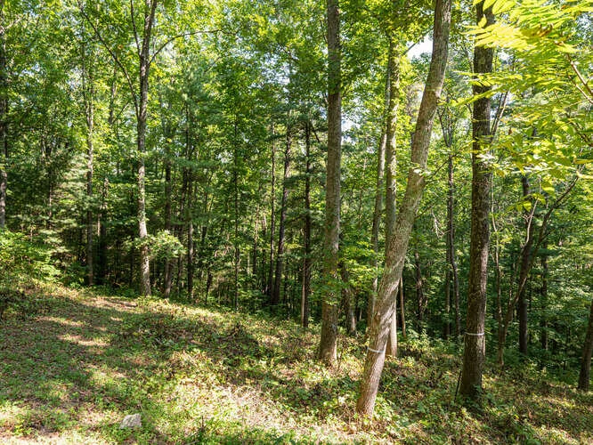 Reynolds Mountain Lot-small-012-035-ReynoldsMtnLot7-666x500-72dpi.jpg