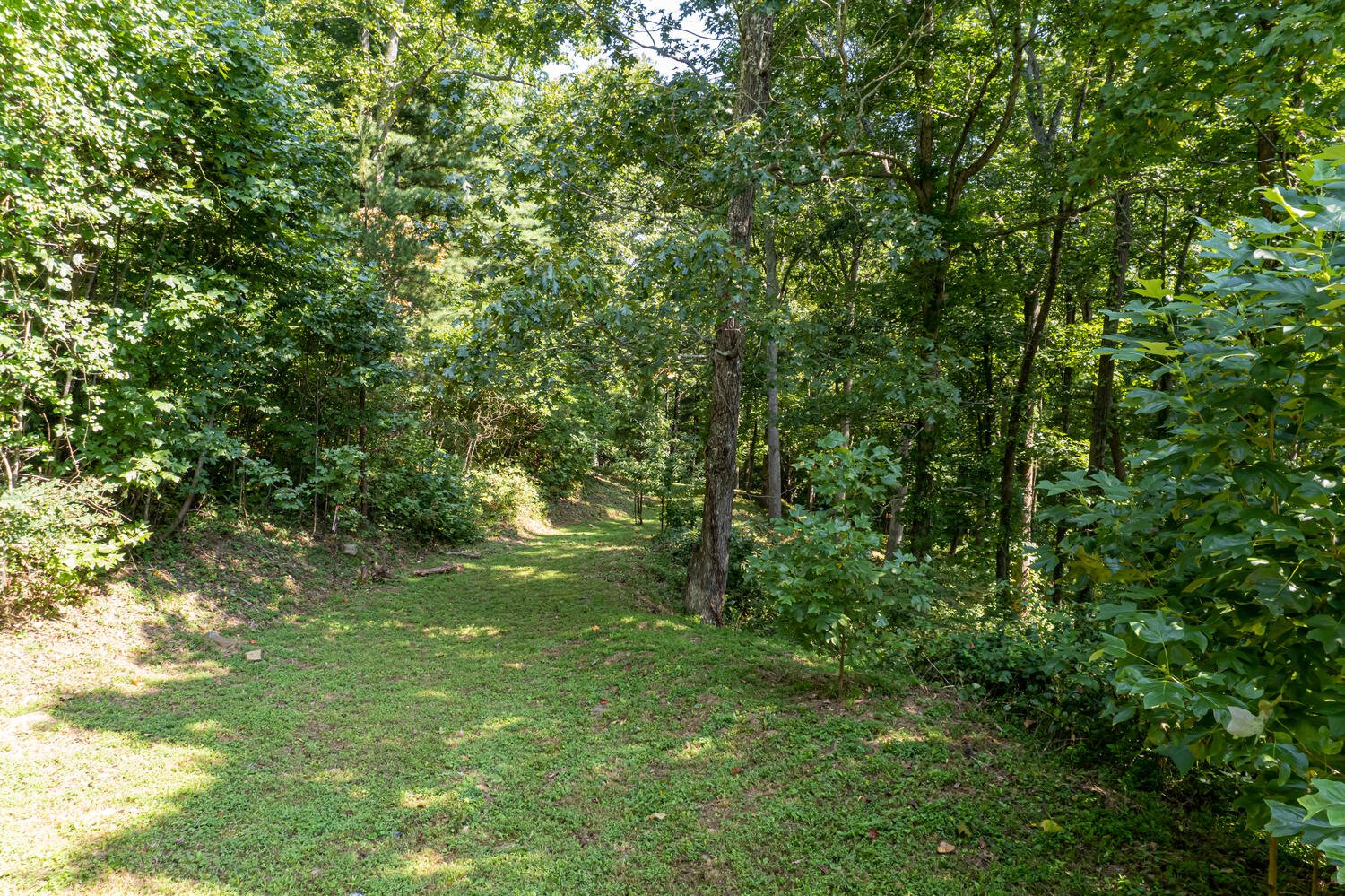 SOLD | Reynolds Mountain Lot