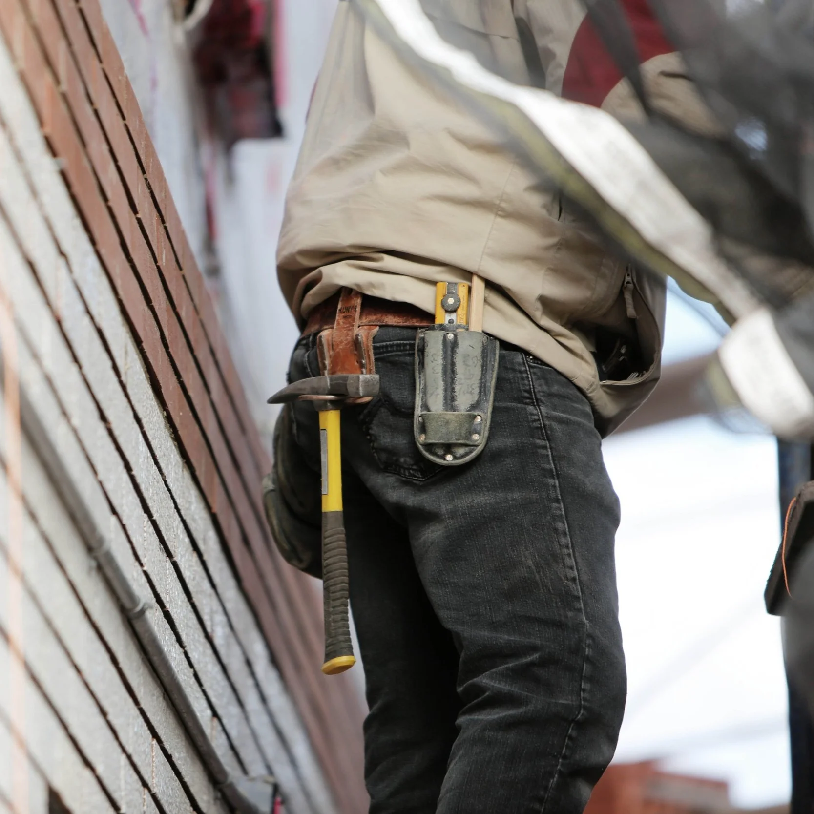 Wildlife Removal and Home Repair in Cincinnati