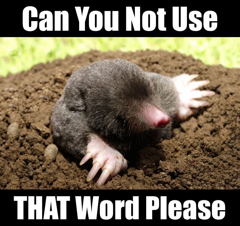 A Five Letter Word Not To Be Used in Mixed Company