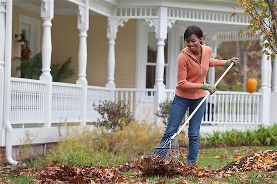 Know The Fall Wildlife Pressure Levels on Your Home