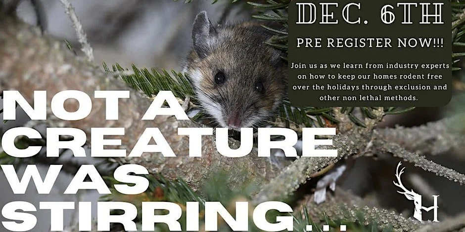 Not a Creature Was Stirring