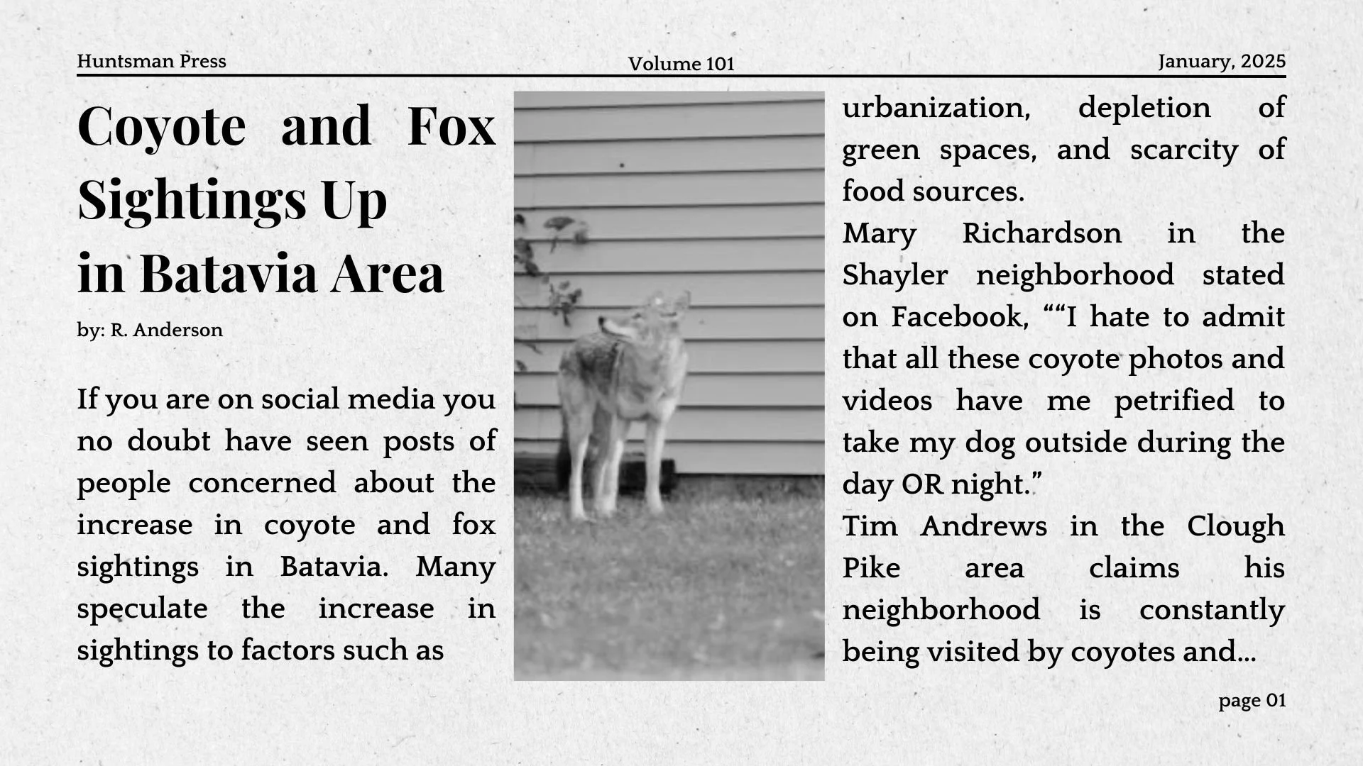 Batavia Area Sees Uptick In Coyote and Fox Sightings