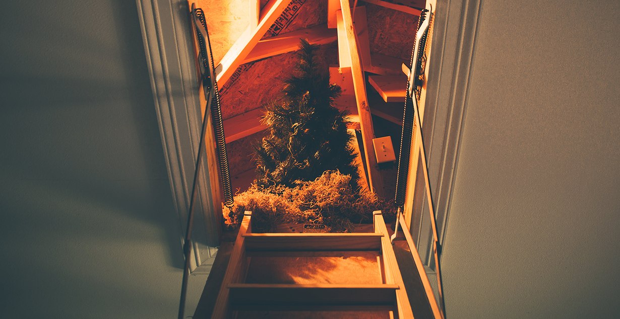When Holiday Cheer Meets Unwanted Guests: How to Spot Rodent Evidence in Stored Decorations
