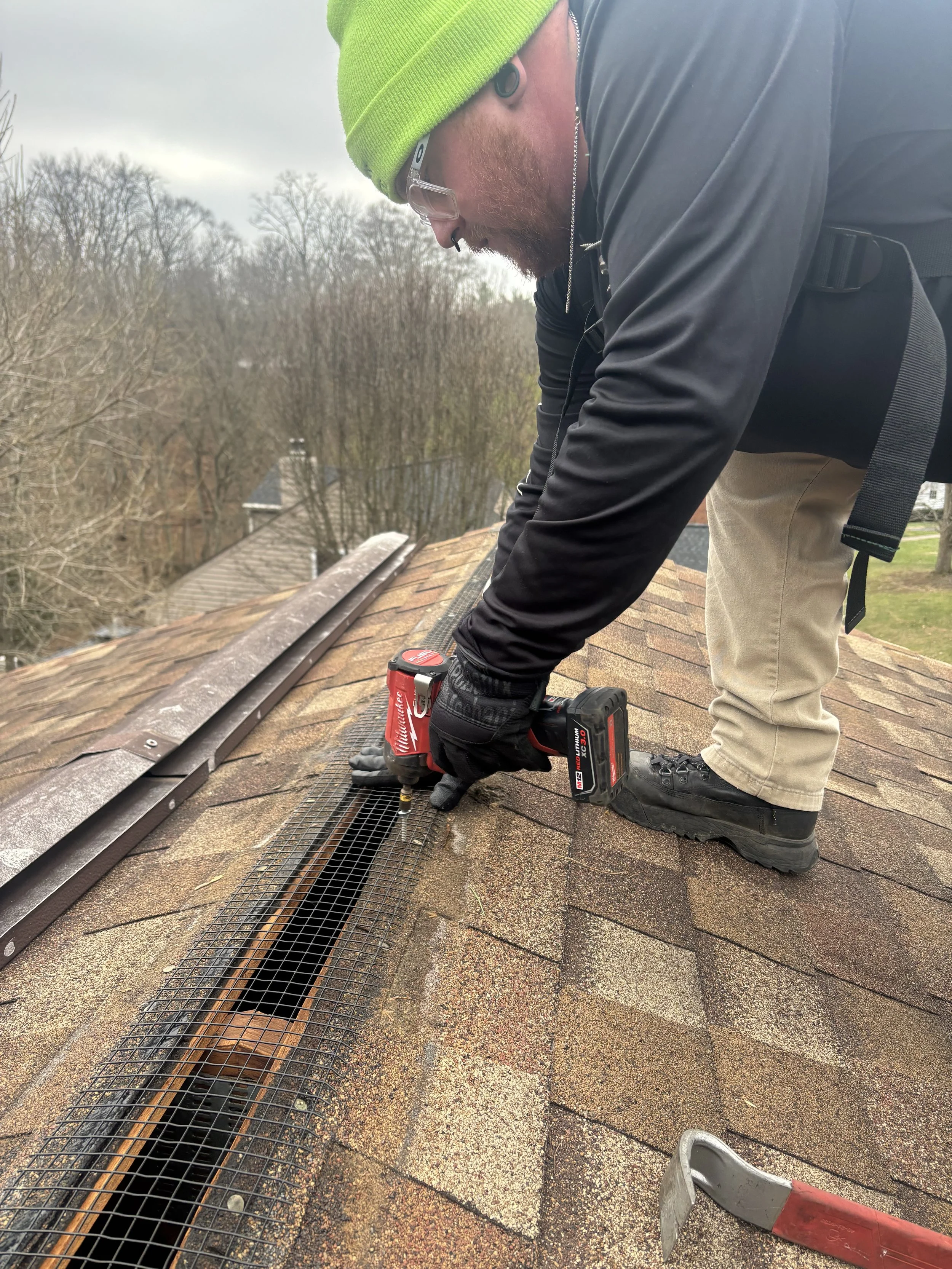 Squirrel Removal in Blue Ash - 03 March 2026