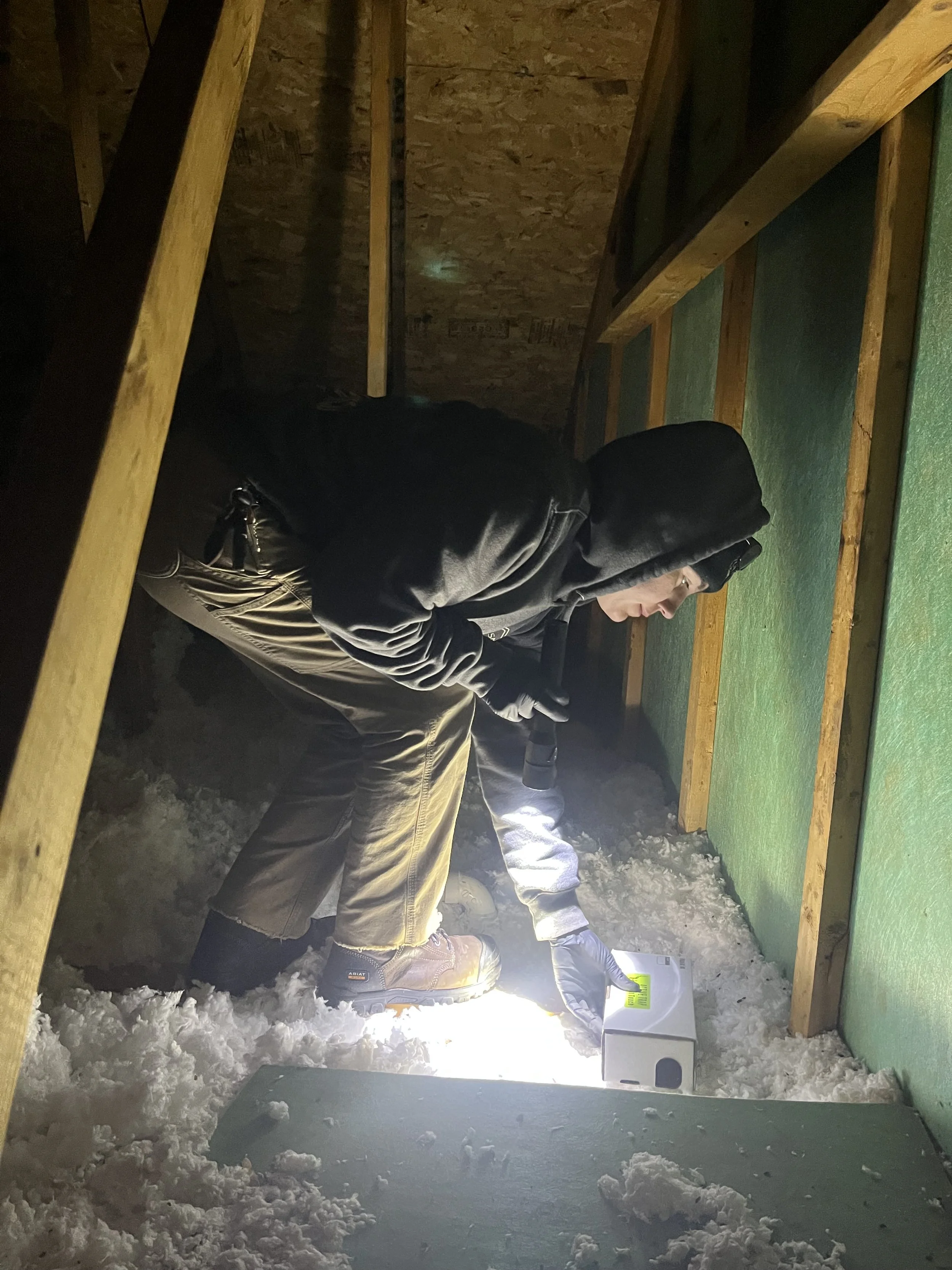 Mouse Control in Loveland - 05 March 2026