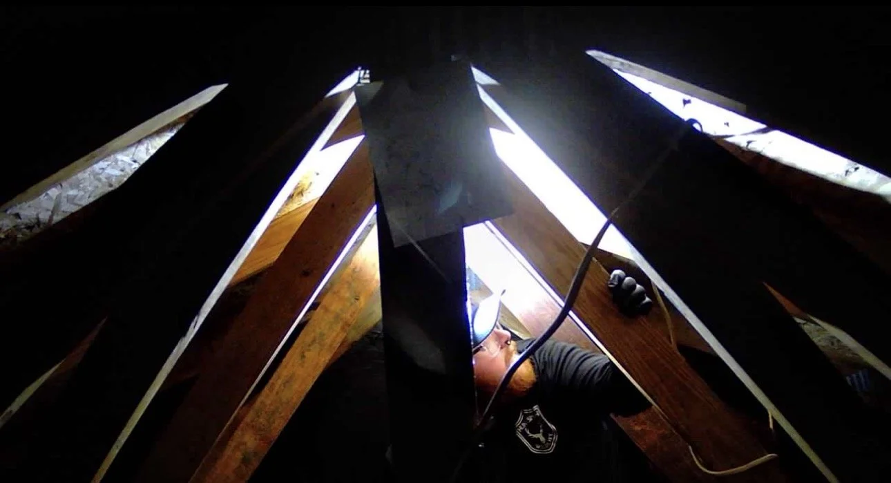 Bird Removal in Goshen - 13 March 2026