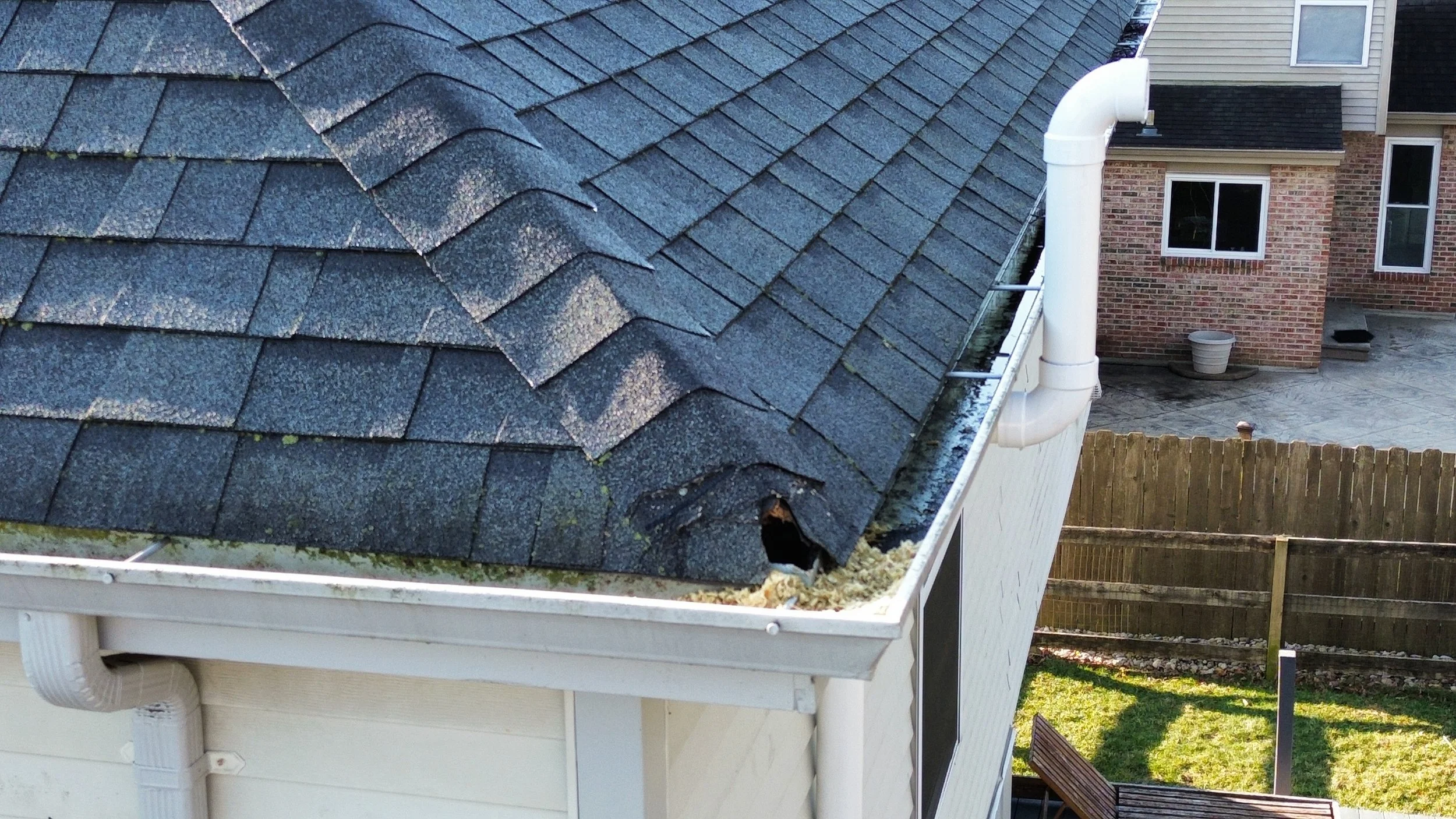 Squirrel Removal in Anderson - 16 March 2026