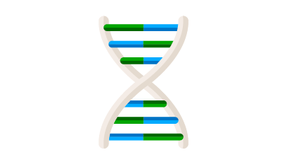 Grosse genetische Studie