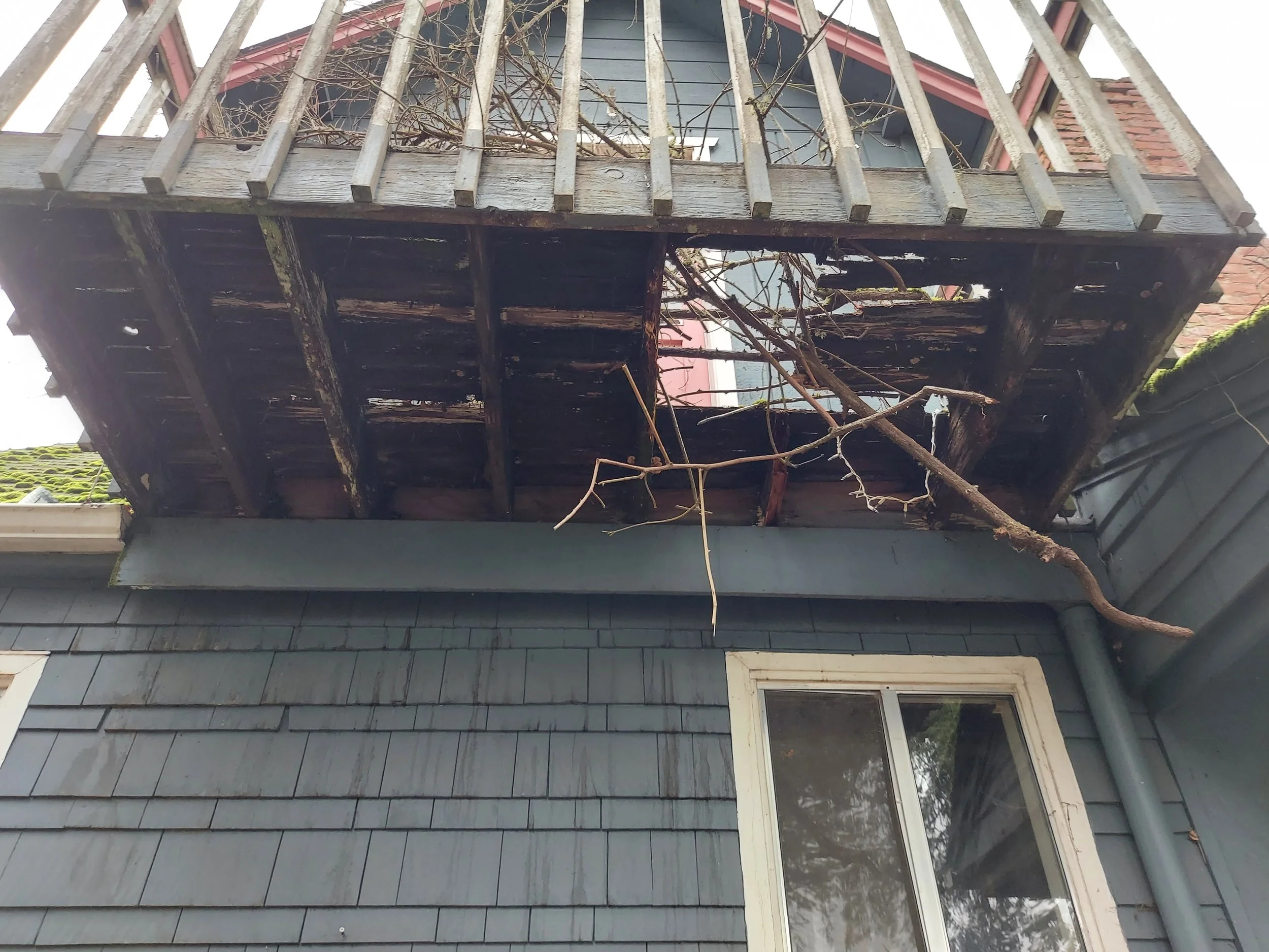 8.2.20211122_152838 copy.jpg