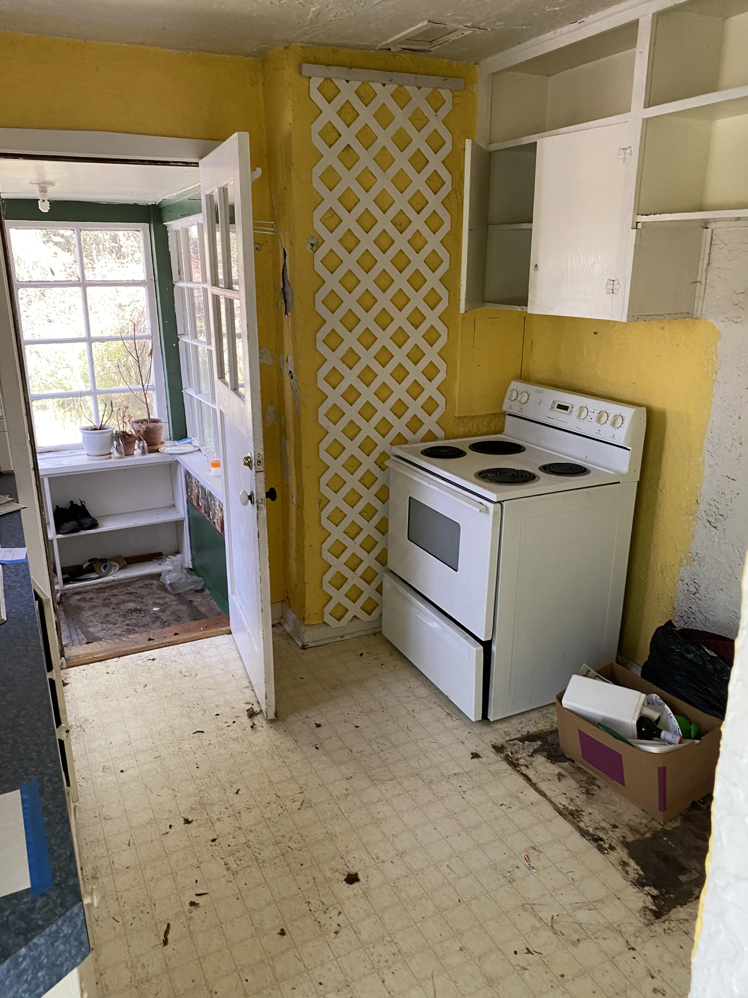 3.1.Photo Mar 31, 2 40 19 PM copy.jpg