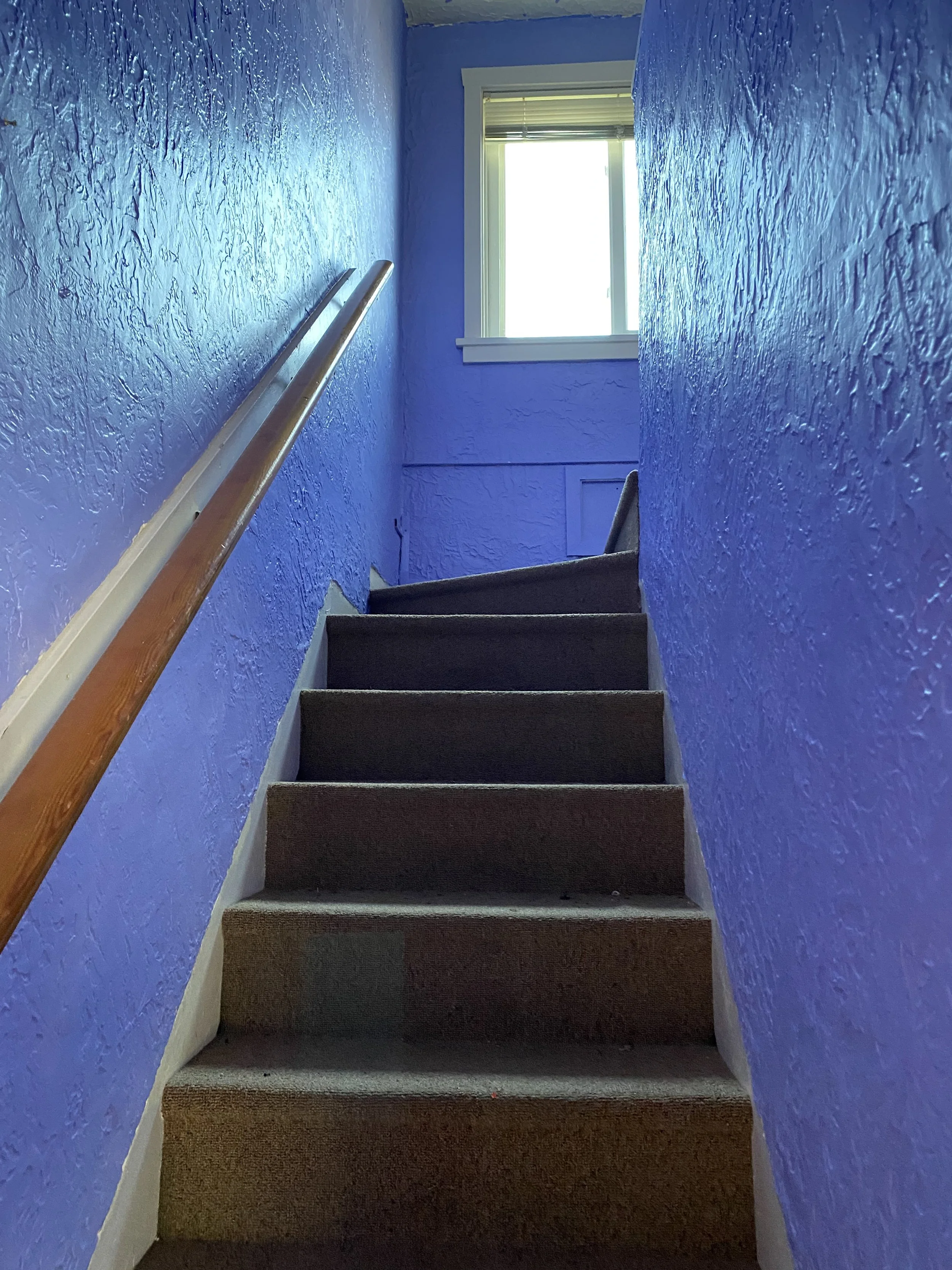 5.1.Photo Mar 31 2021, 2 42 10 PM copy.jpg