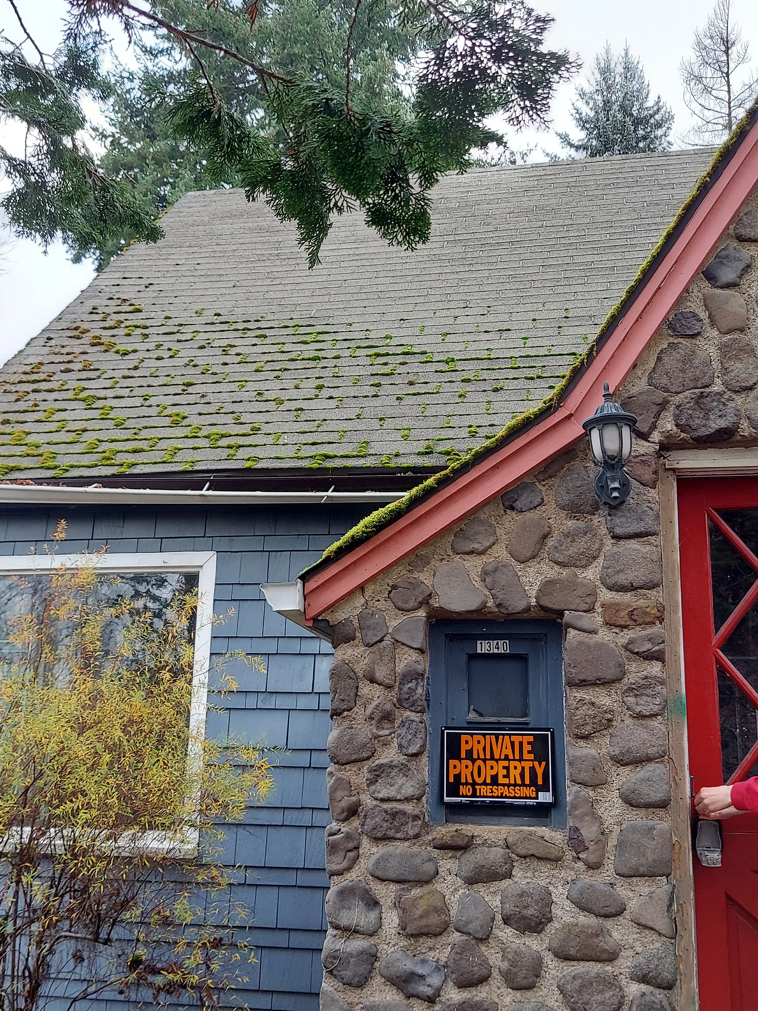 0.1.20211122_152949 copy.jpg