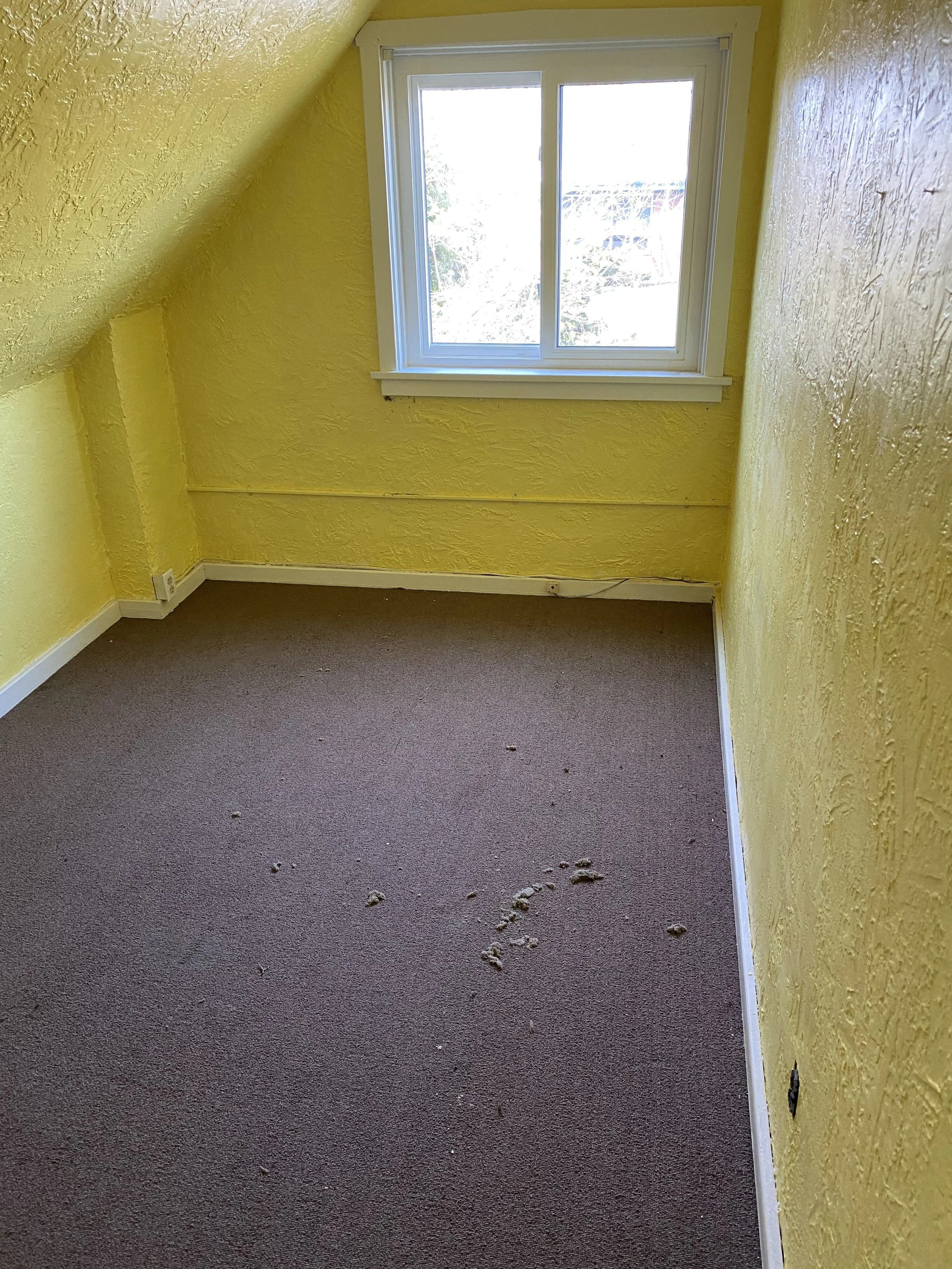 6.2.Photo Mar 31, 2 43 12 PM copy.jpg