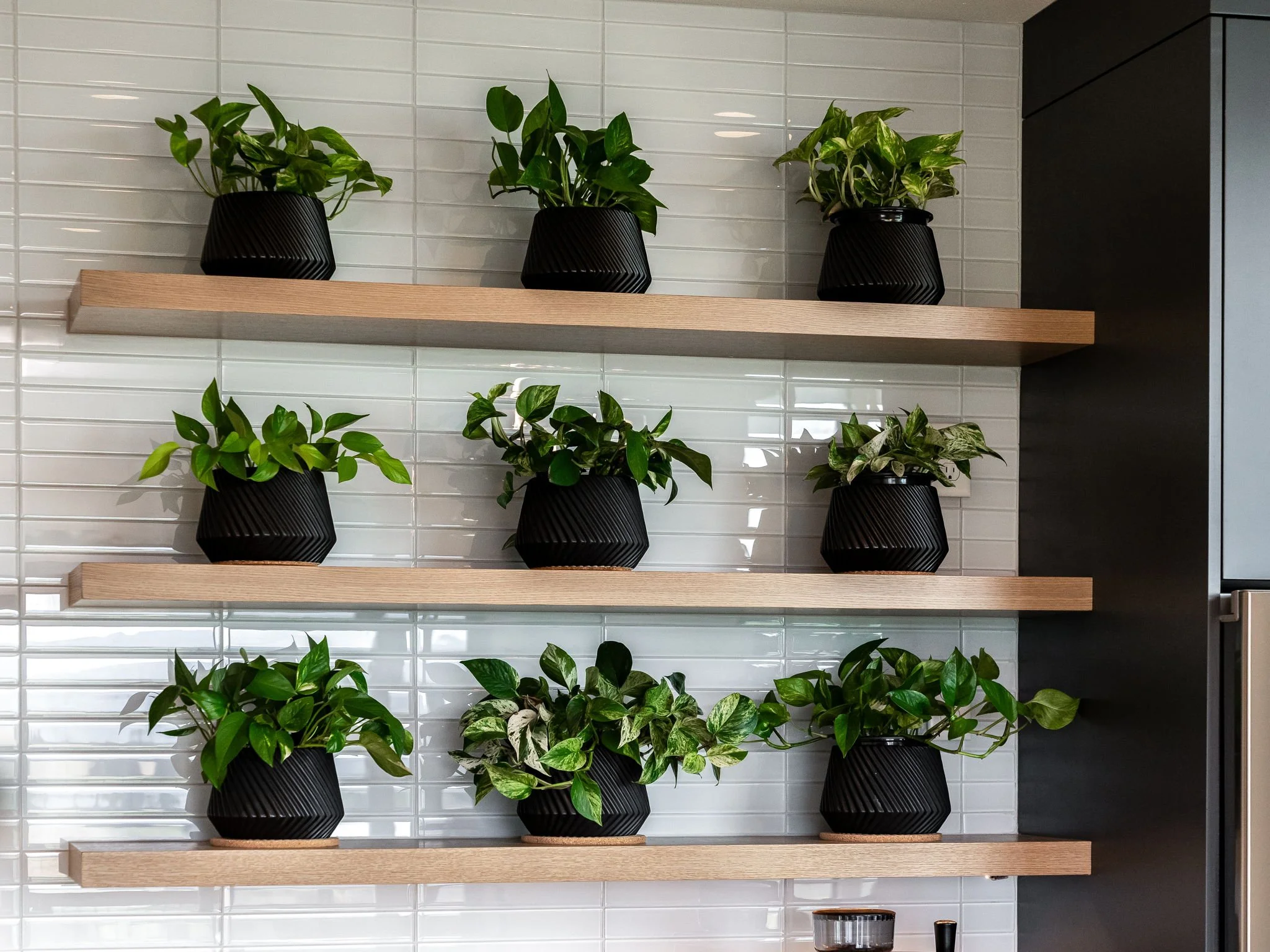 2.6.43-web-or-mls-7841 NE Cooper Ln, Yamhill, OR 97148 (80) copy.jpg