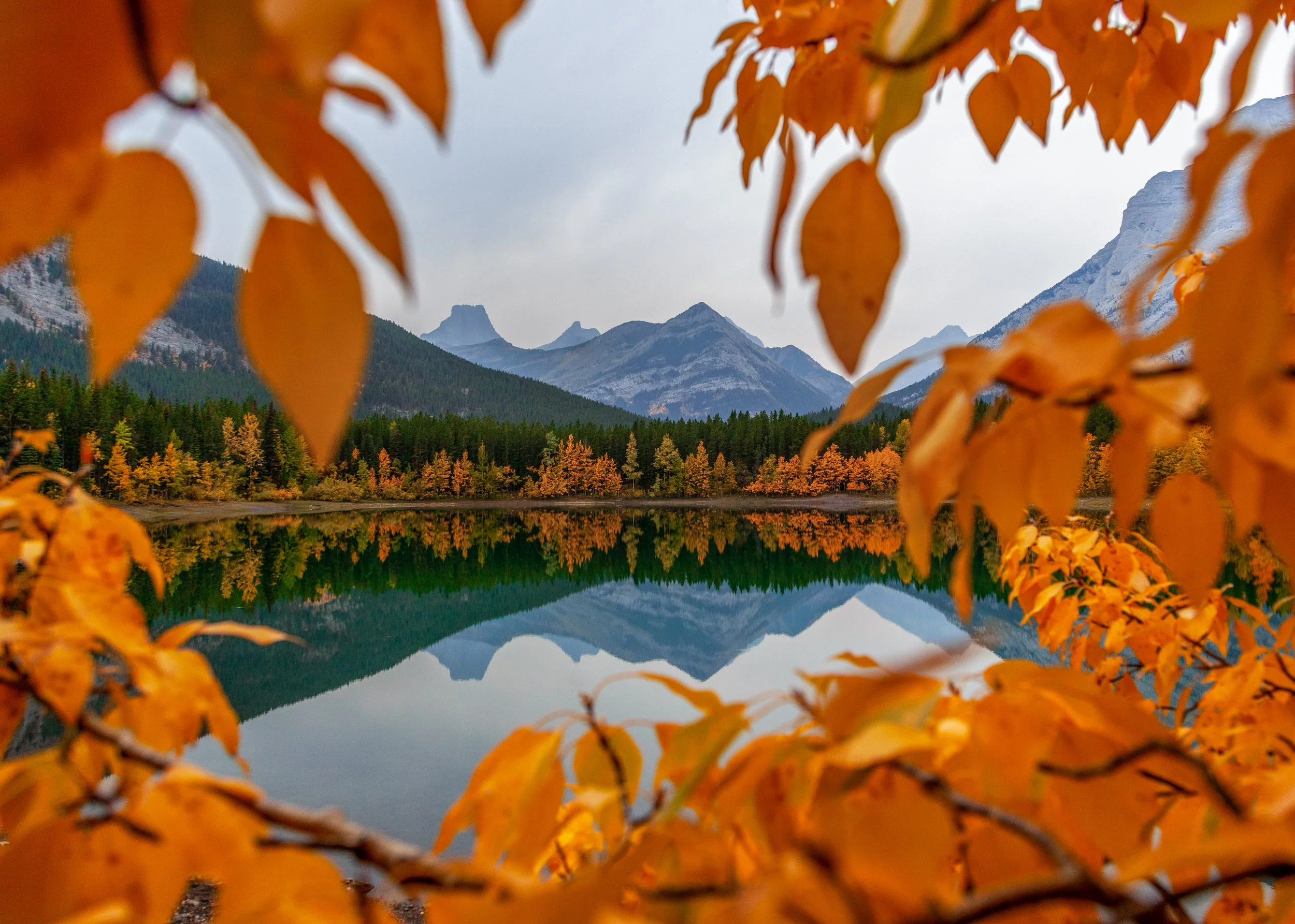 Upgrading Your Kit - Canon R5 Mirrorless Camera