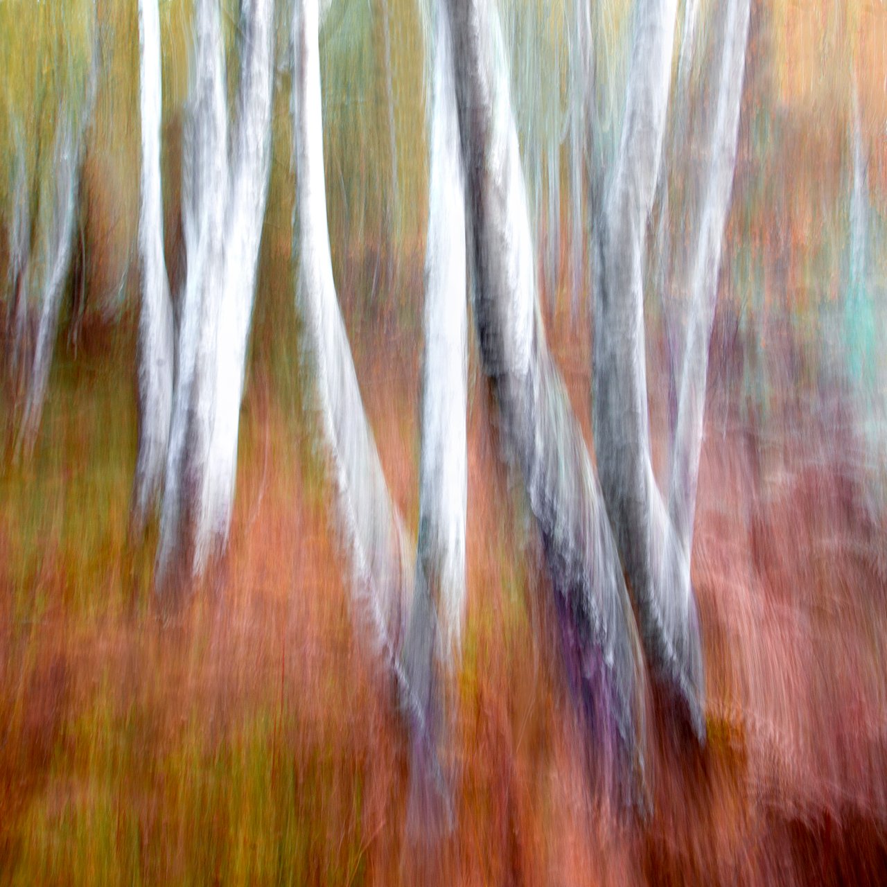 _MG_1269-Edit copy.jpg