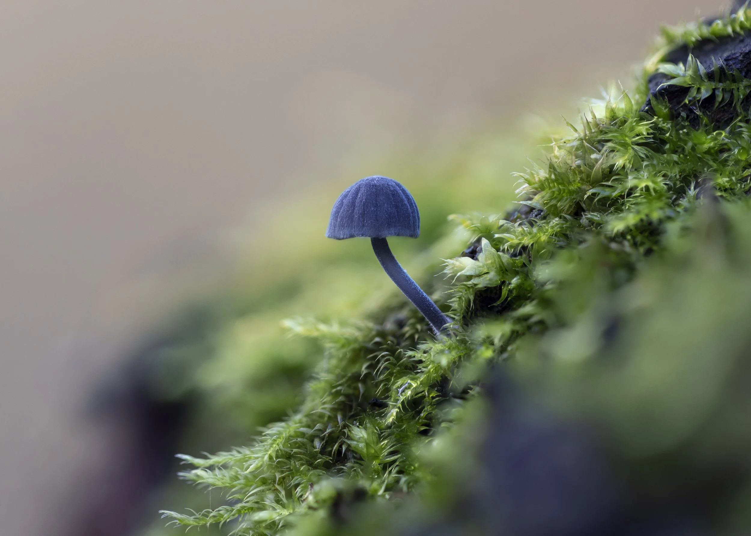 2024-10-31 11-58-59 (B,R7,S2)-Edit.jpg