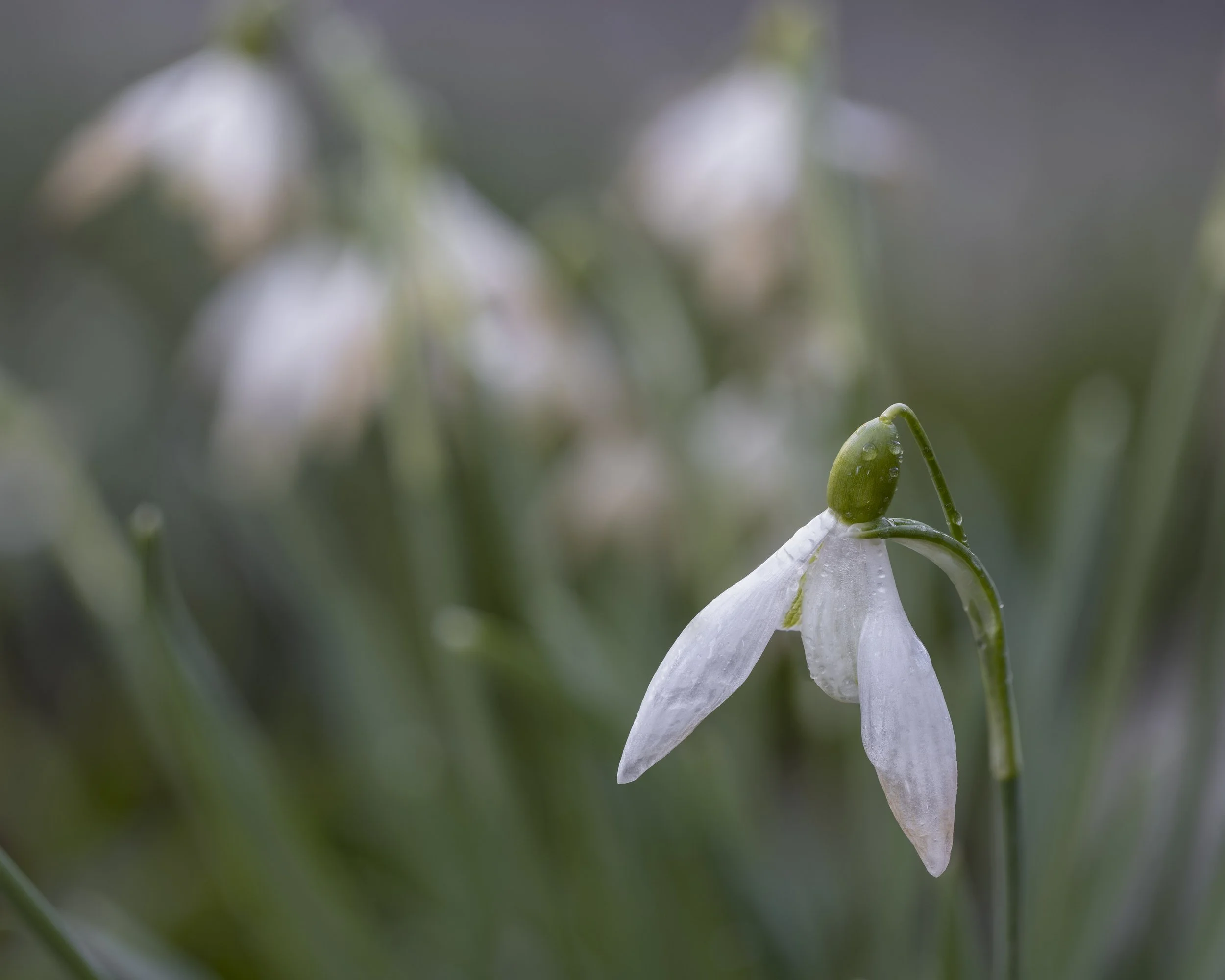 2025-03-07 21-16-35 (B,R8,S3)-Edit.jpg